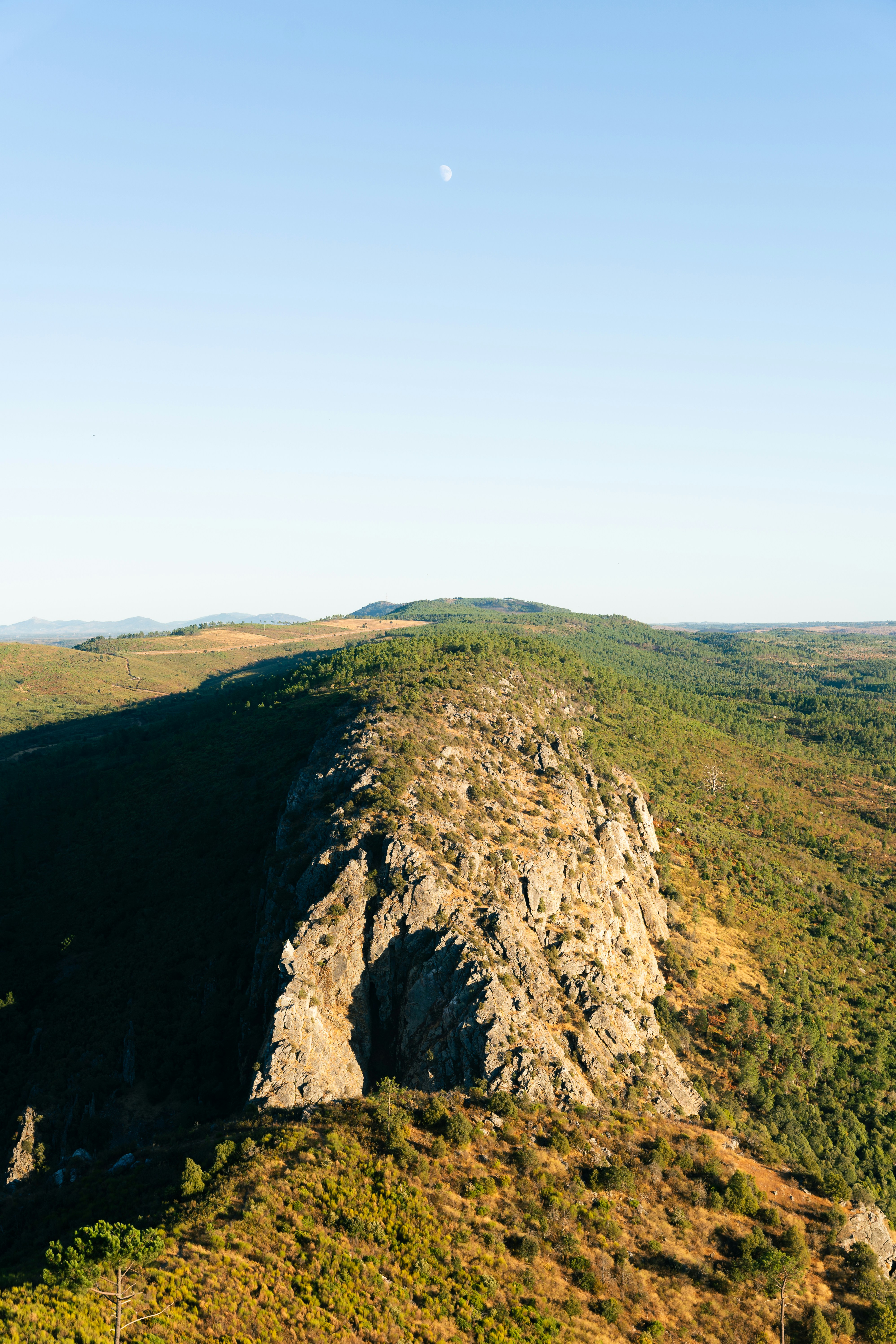 Felsiger Grat bedeckt mit Bäumen unter klarem Himmel