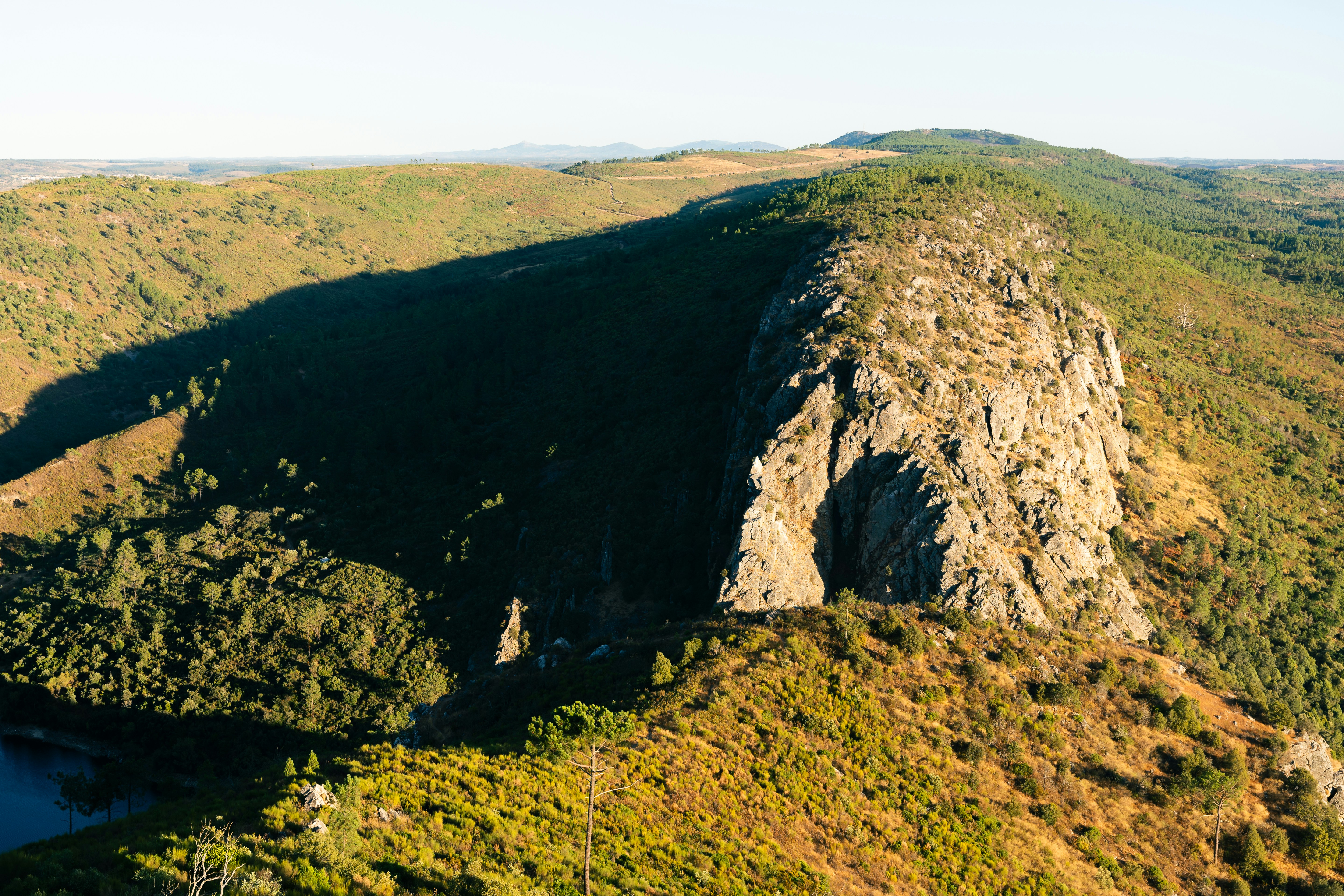 Felswand auf einem baumbewachsenen Bergrücken.