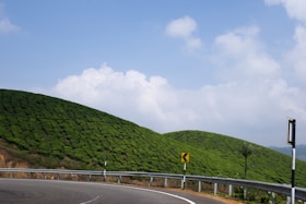 Curving road through lush green tea plantations on hills.