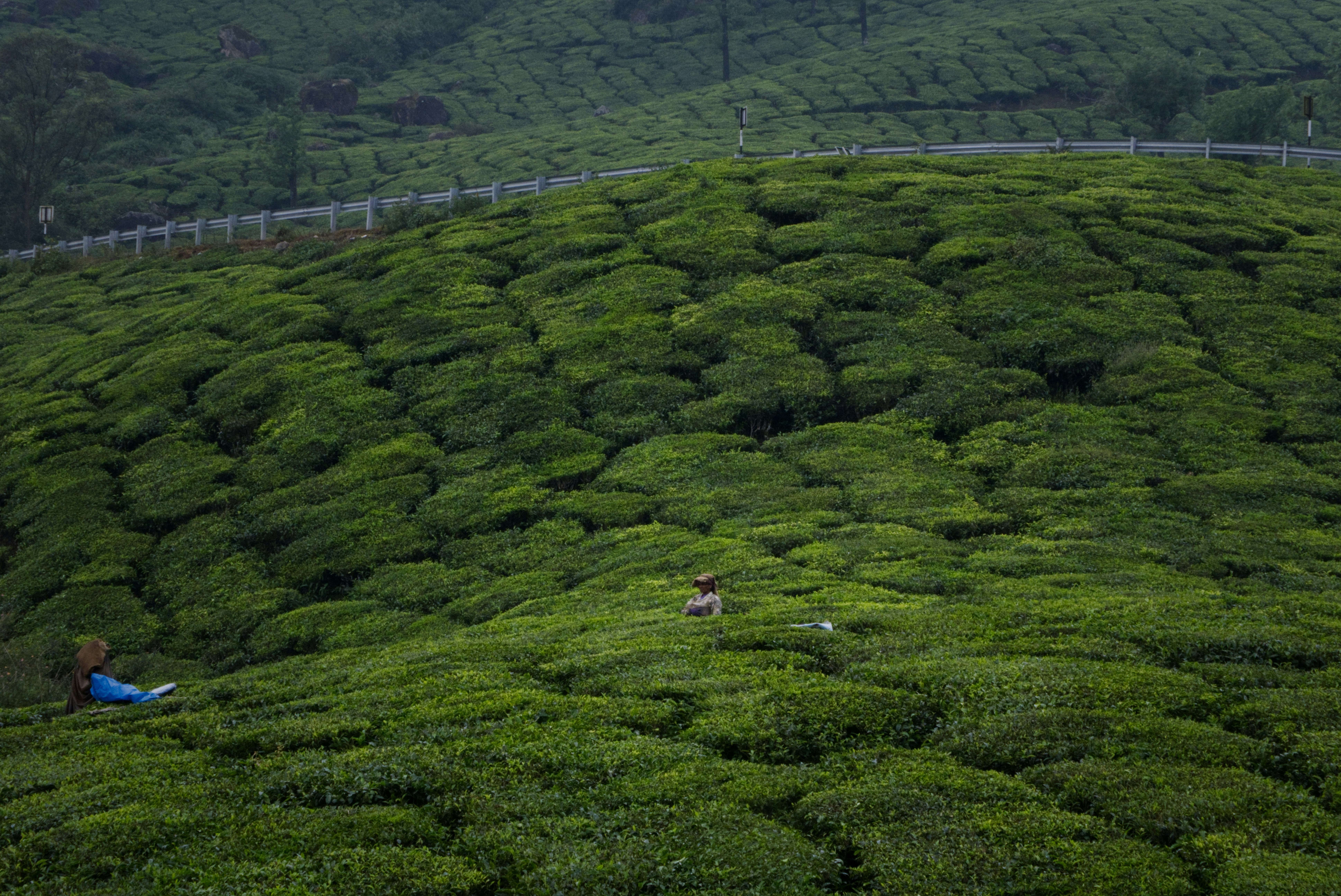 Photo by shubhudi