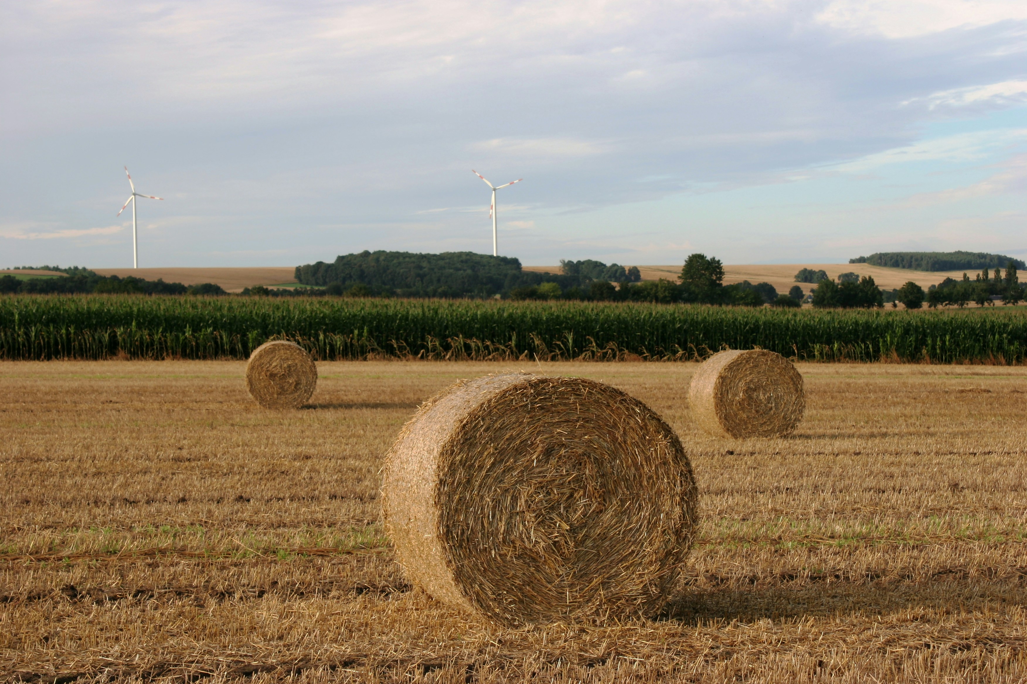 Photo by nikodemus777