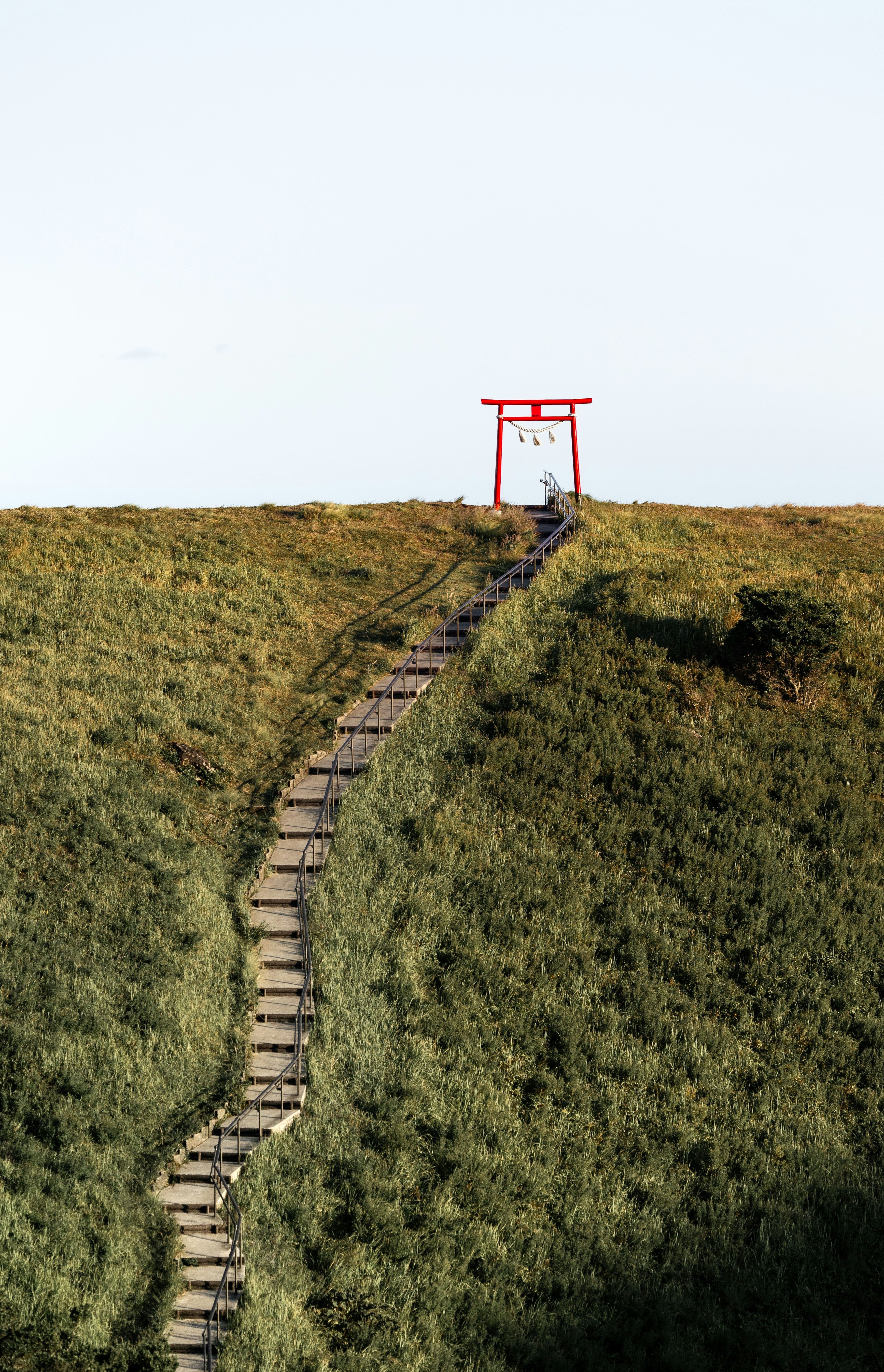 Wooden stairs lead up to a red torii gate.