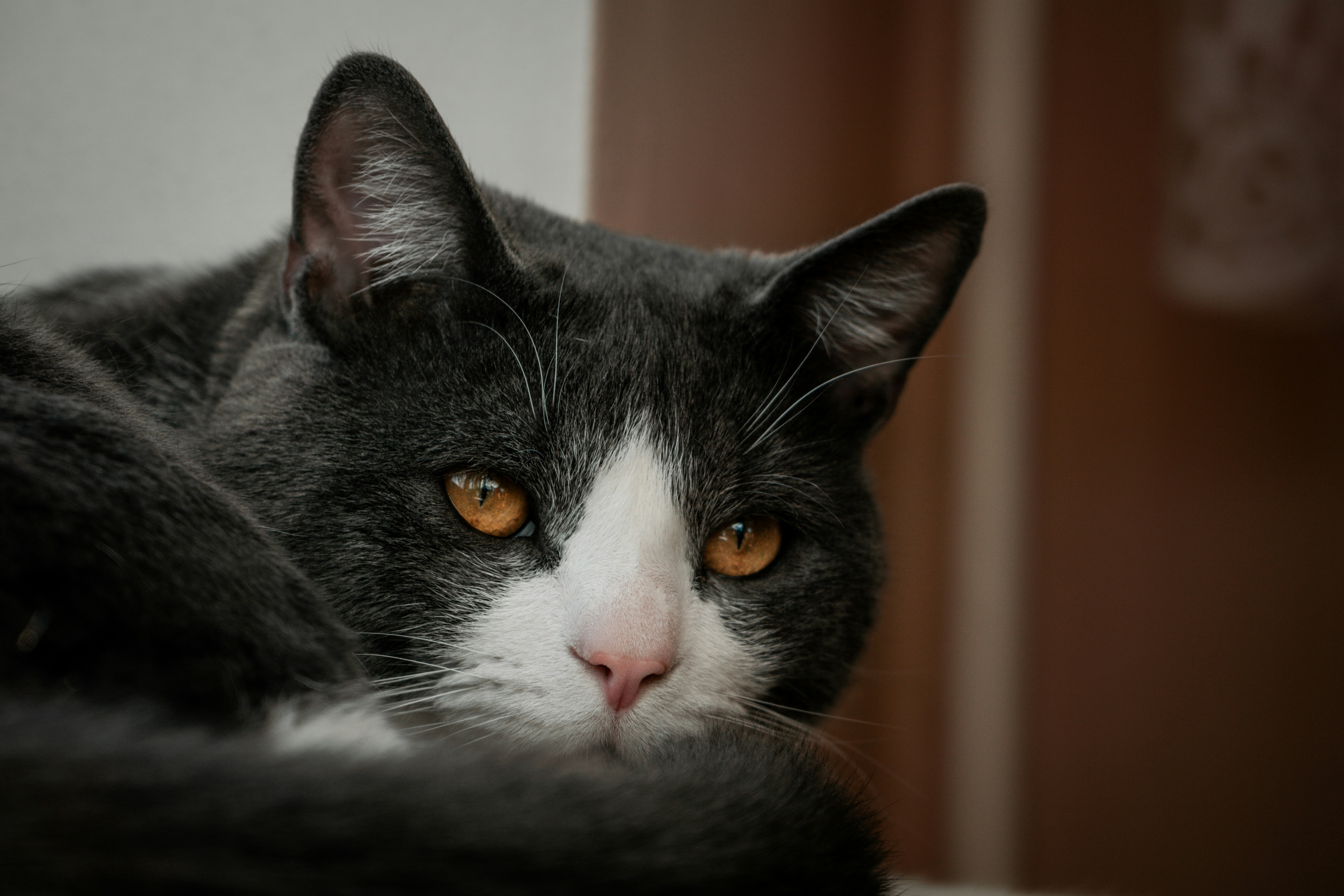 Photo by david_pavka