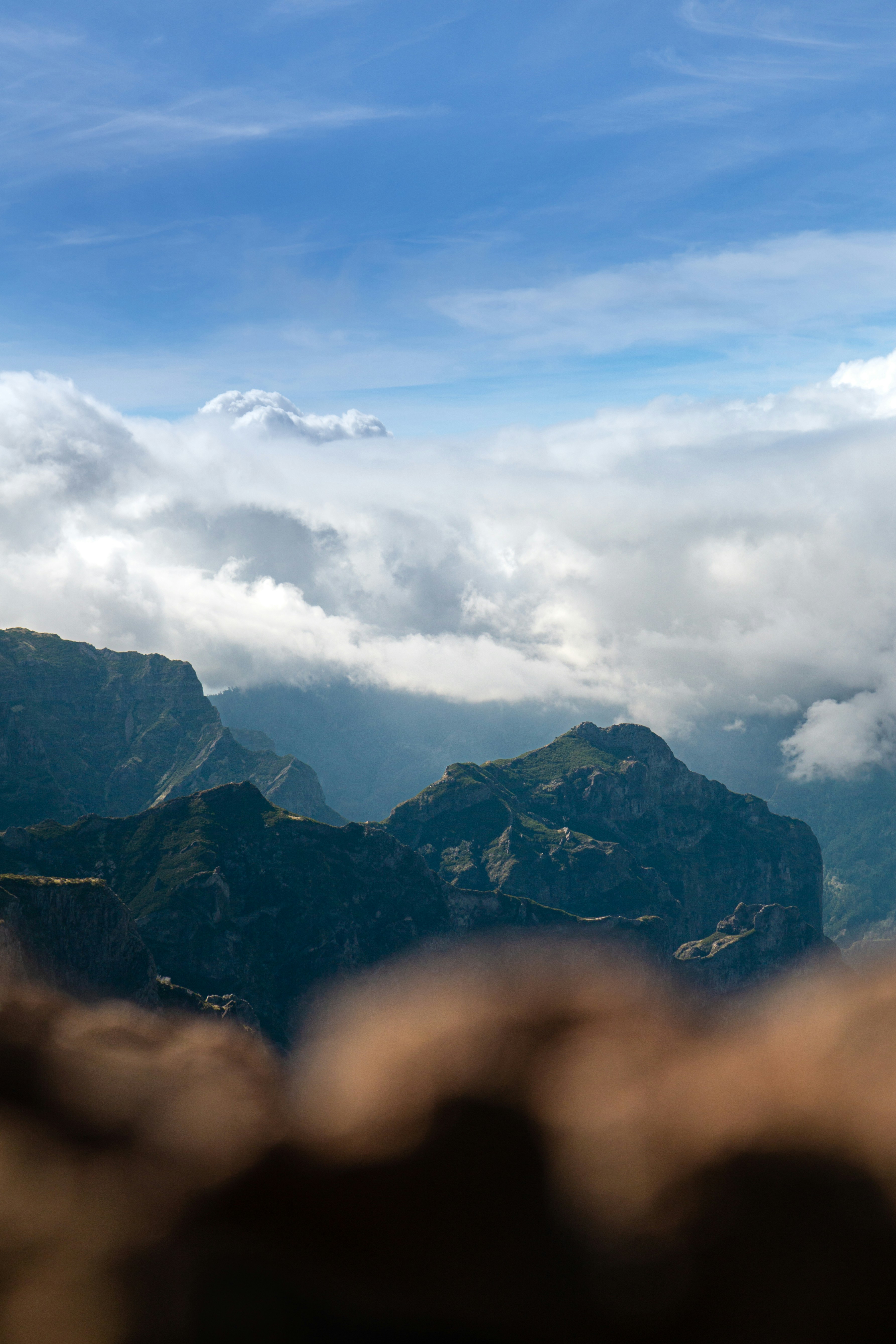 Photo by david_pavka