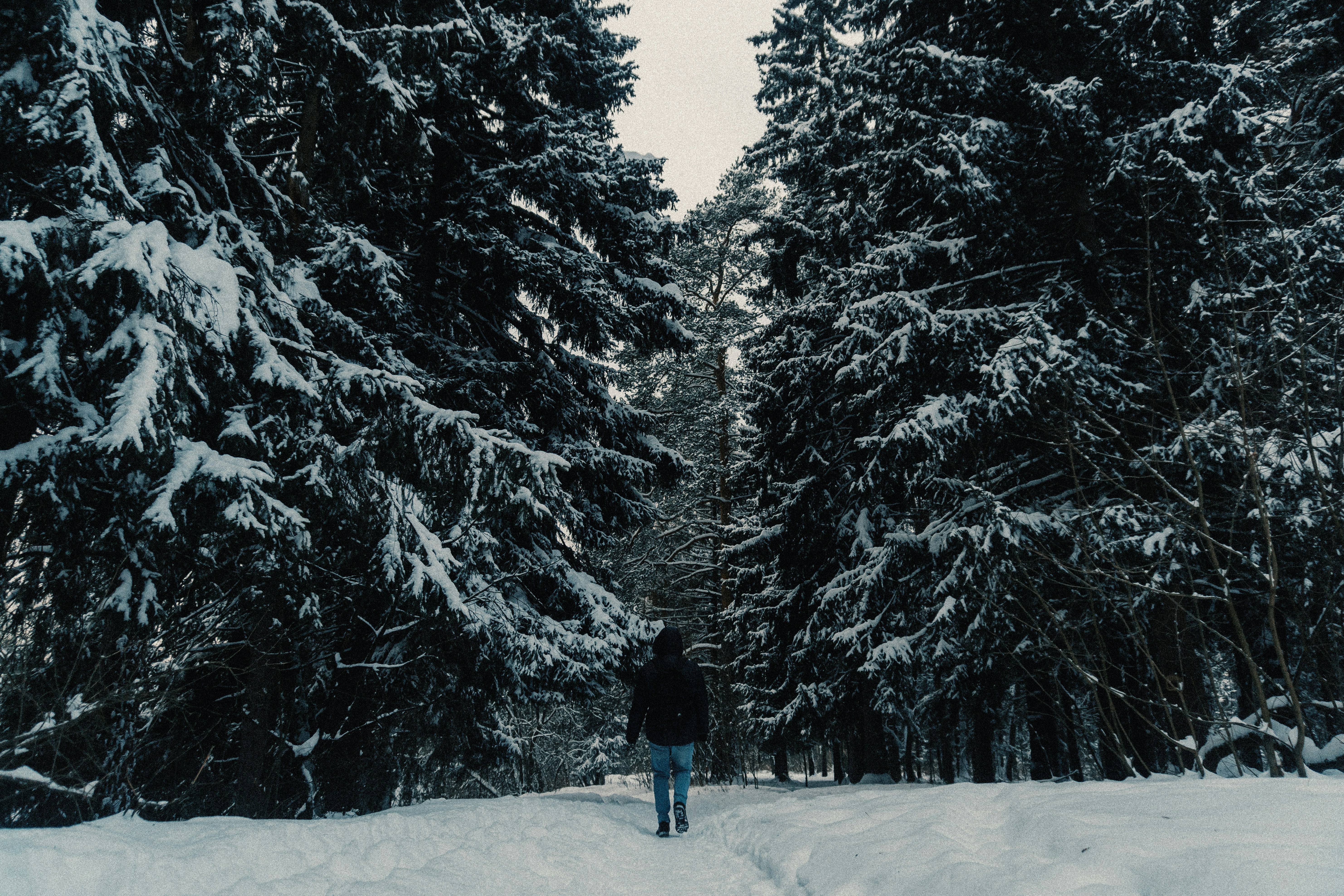 Photo by andrei11948