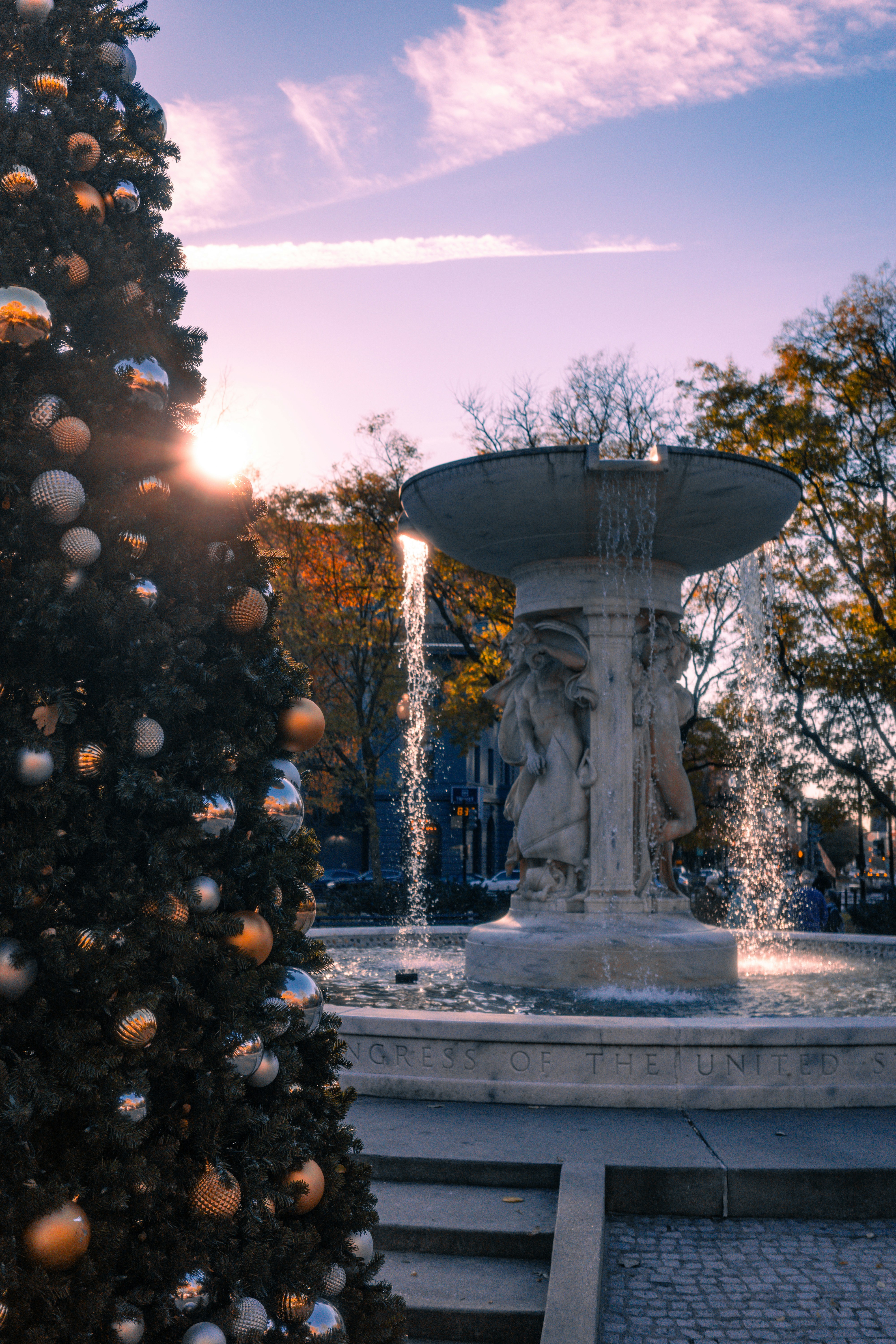 Christmas tree and fountain at sunset