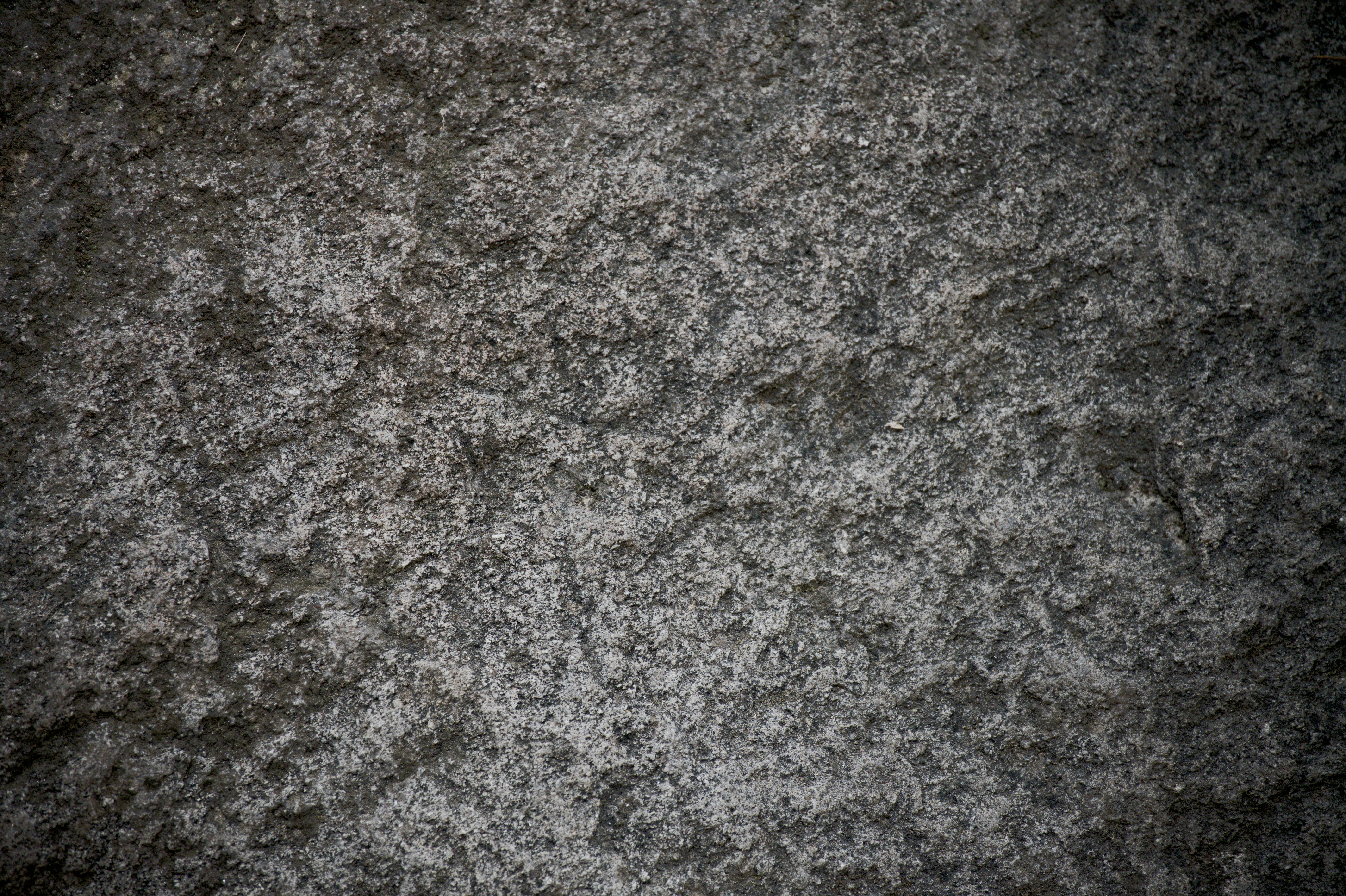 Photo by aminzabardast