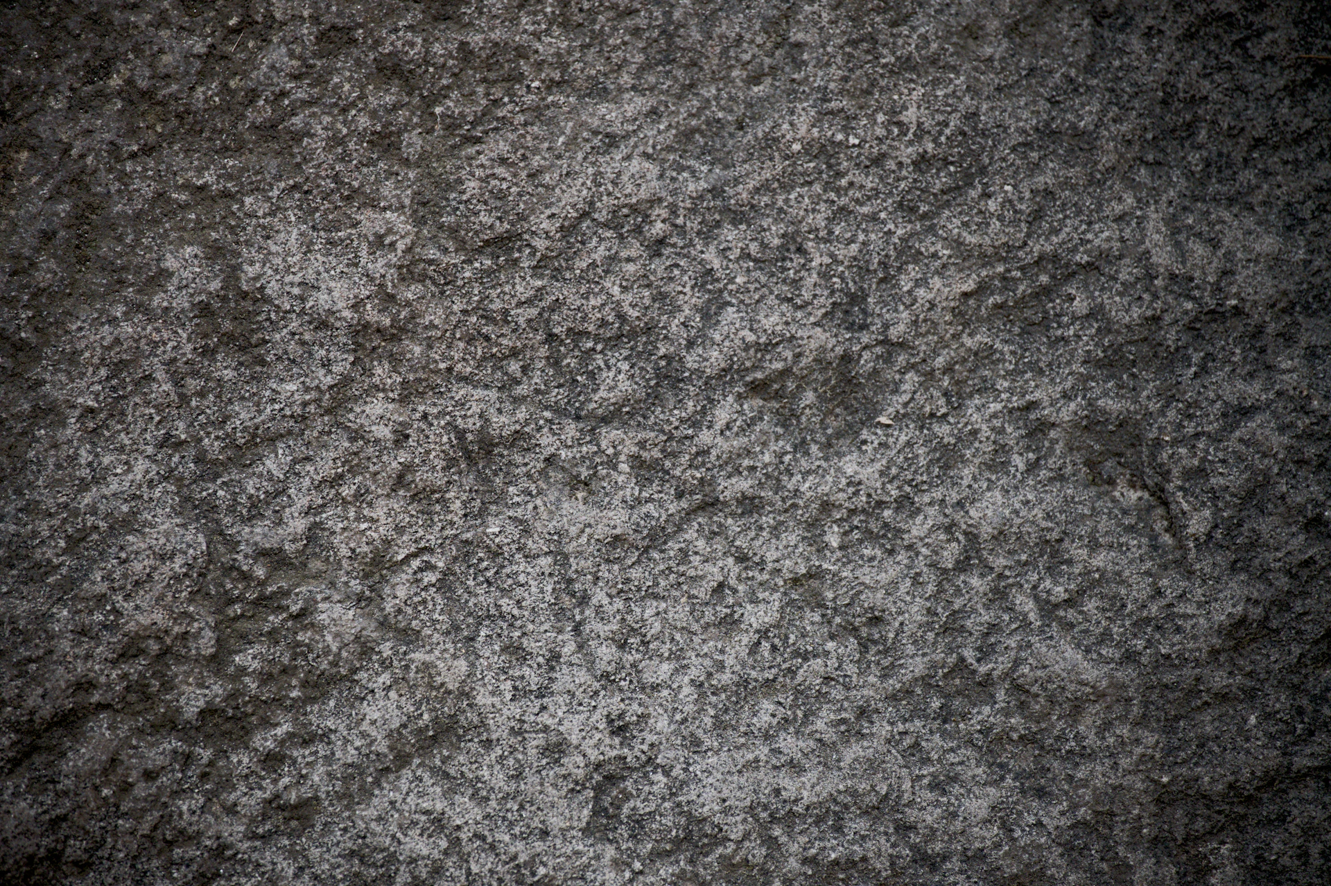 Close-up of a rough, textured grey surface