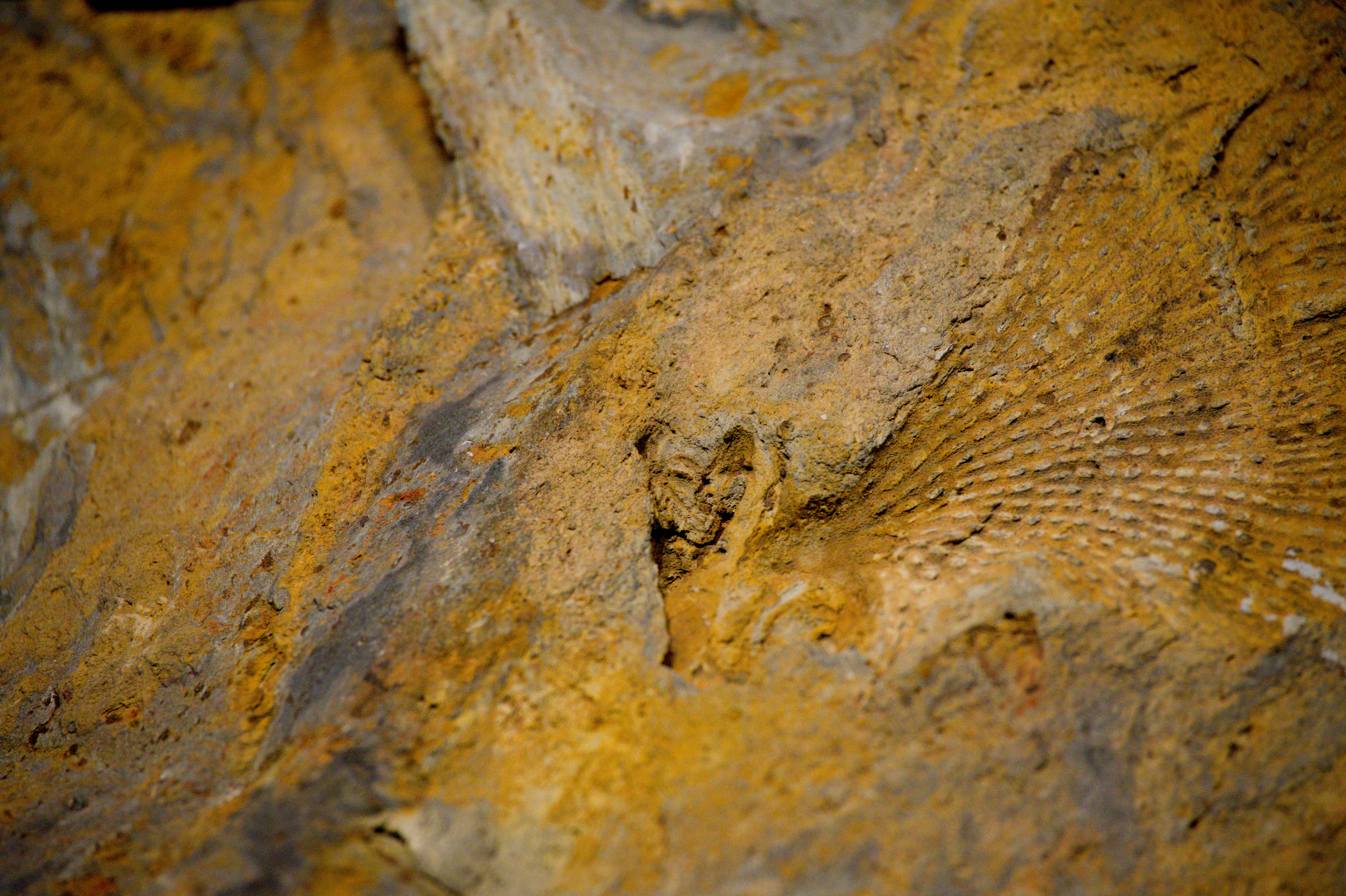 Photo by aminzabardast