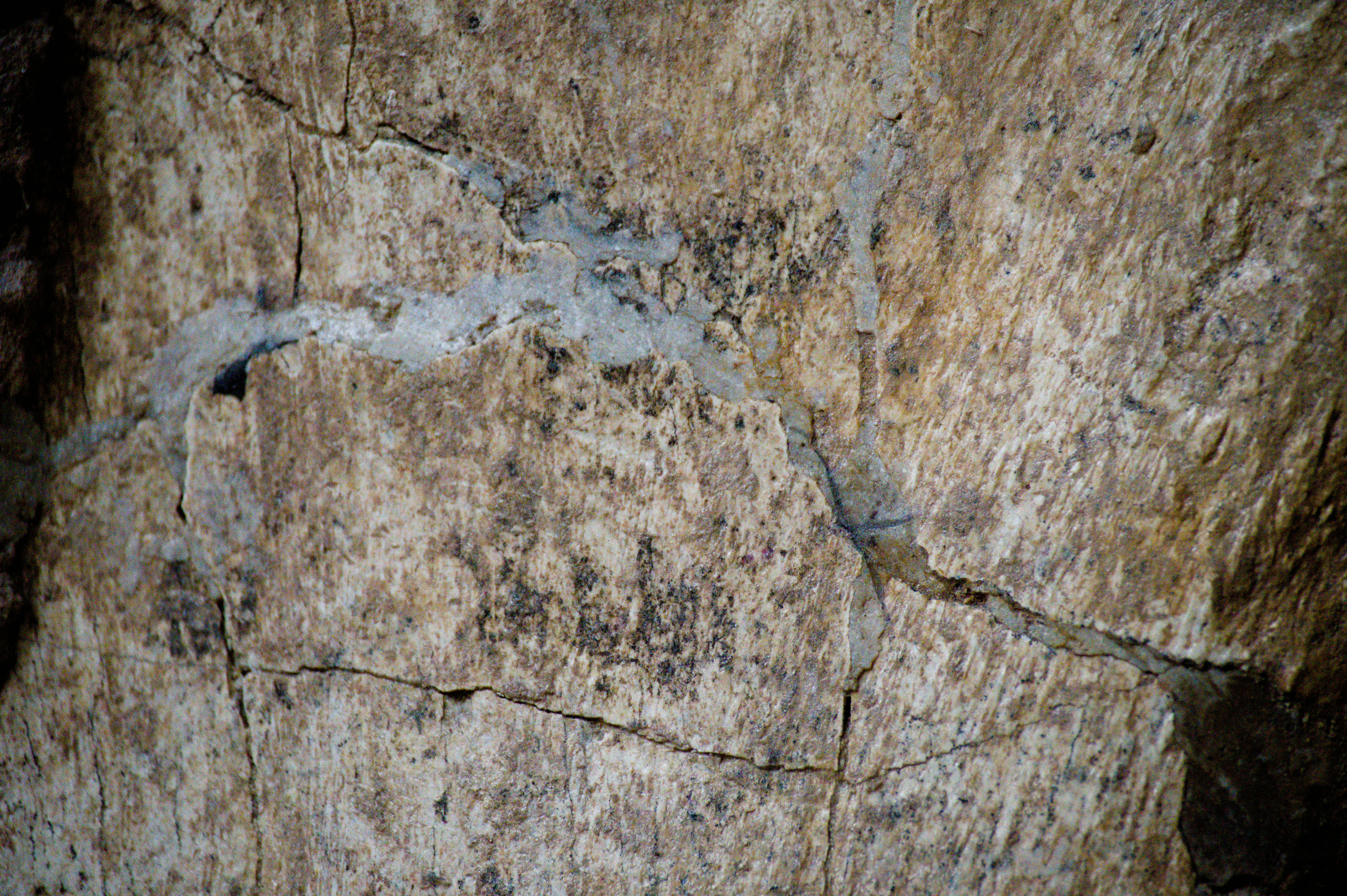 Photo by aminzabardast