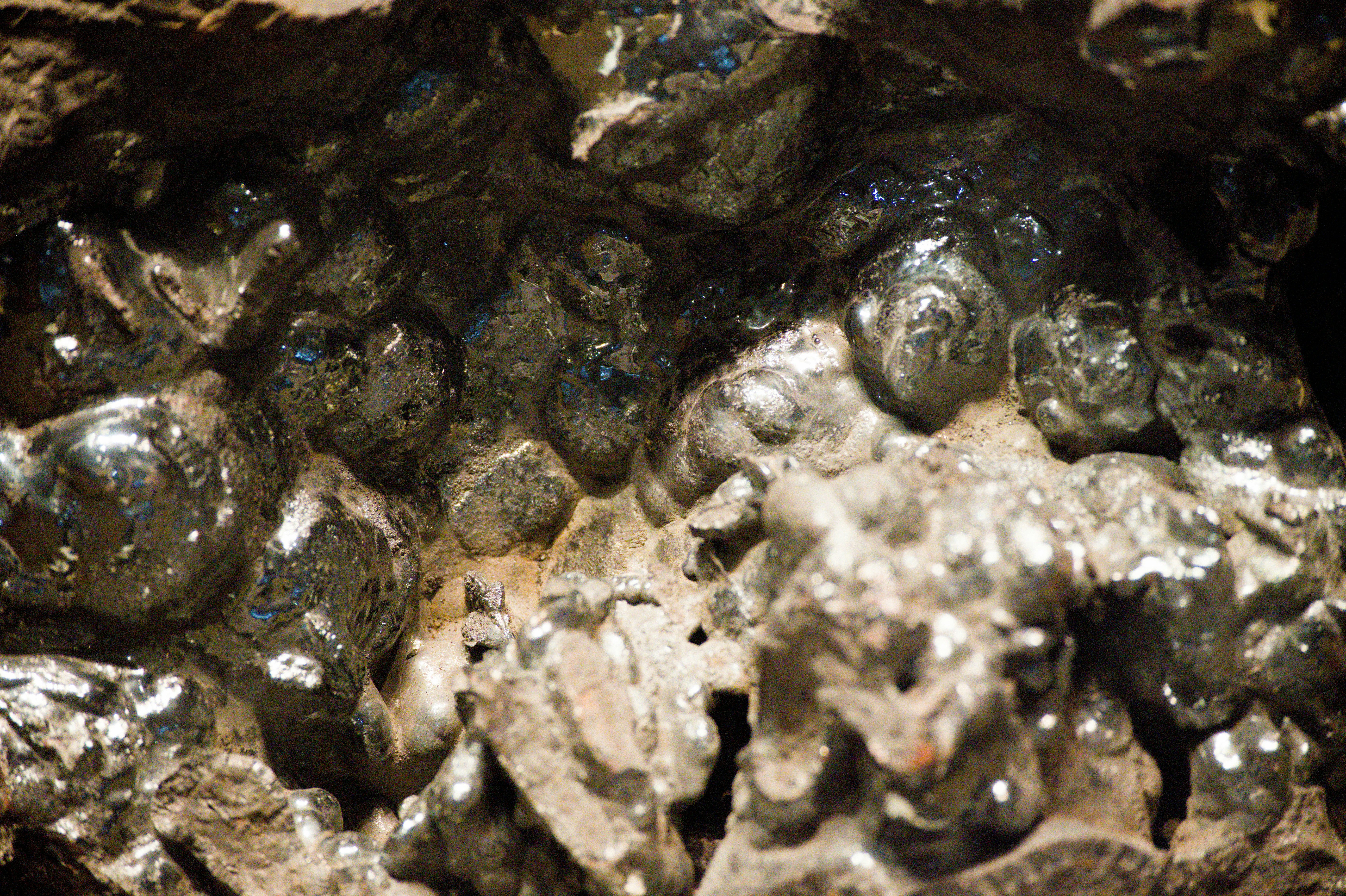 Photo by aminzabardast