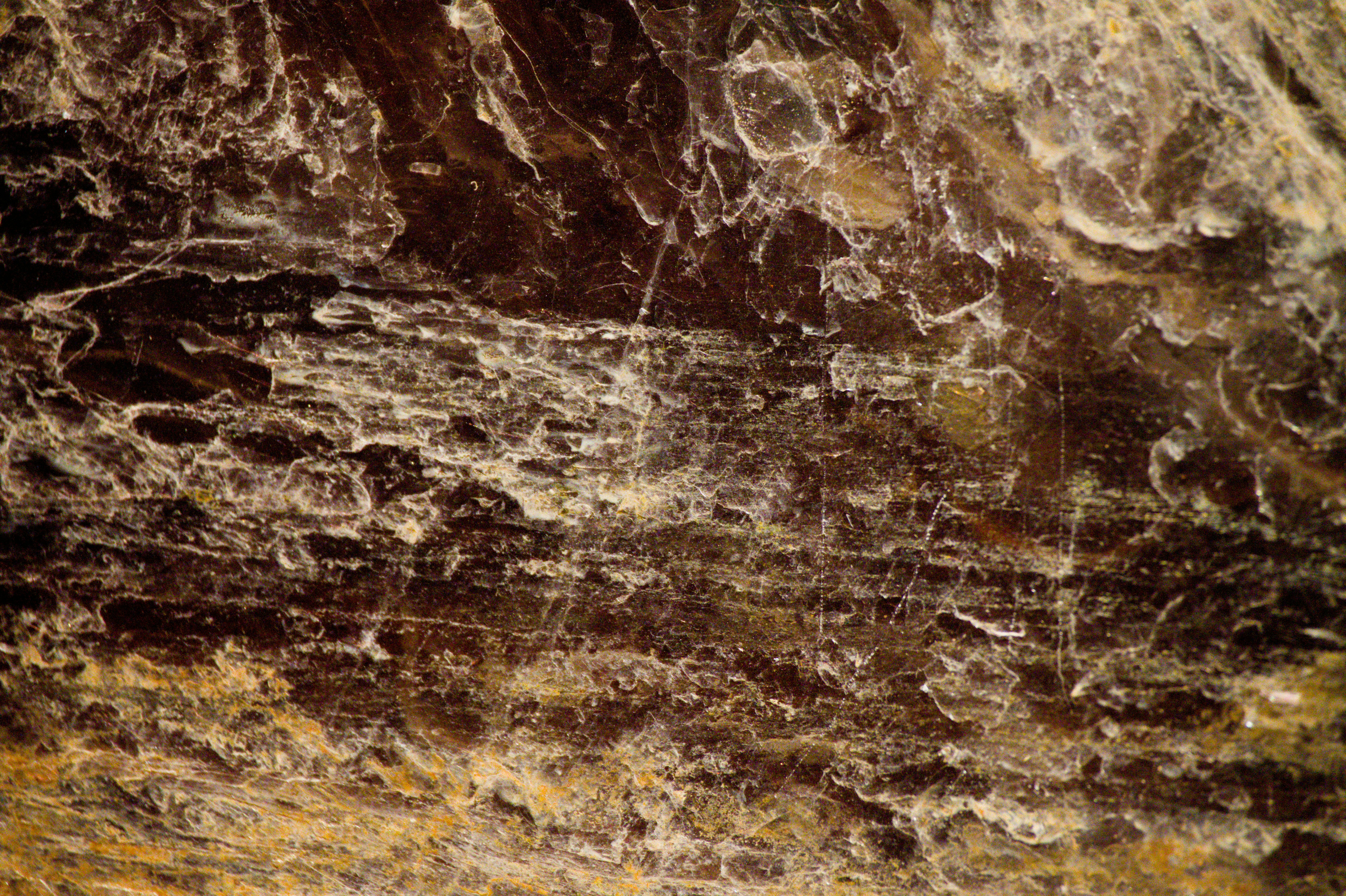 Photo by aminzabardast