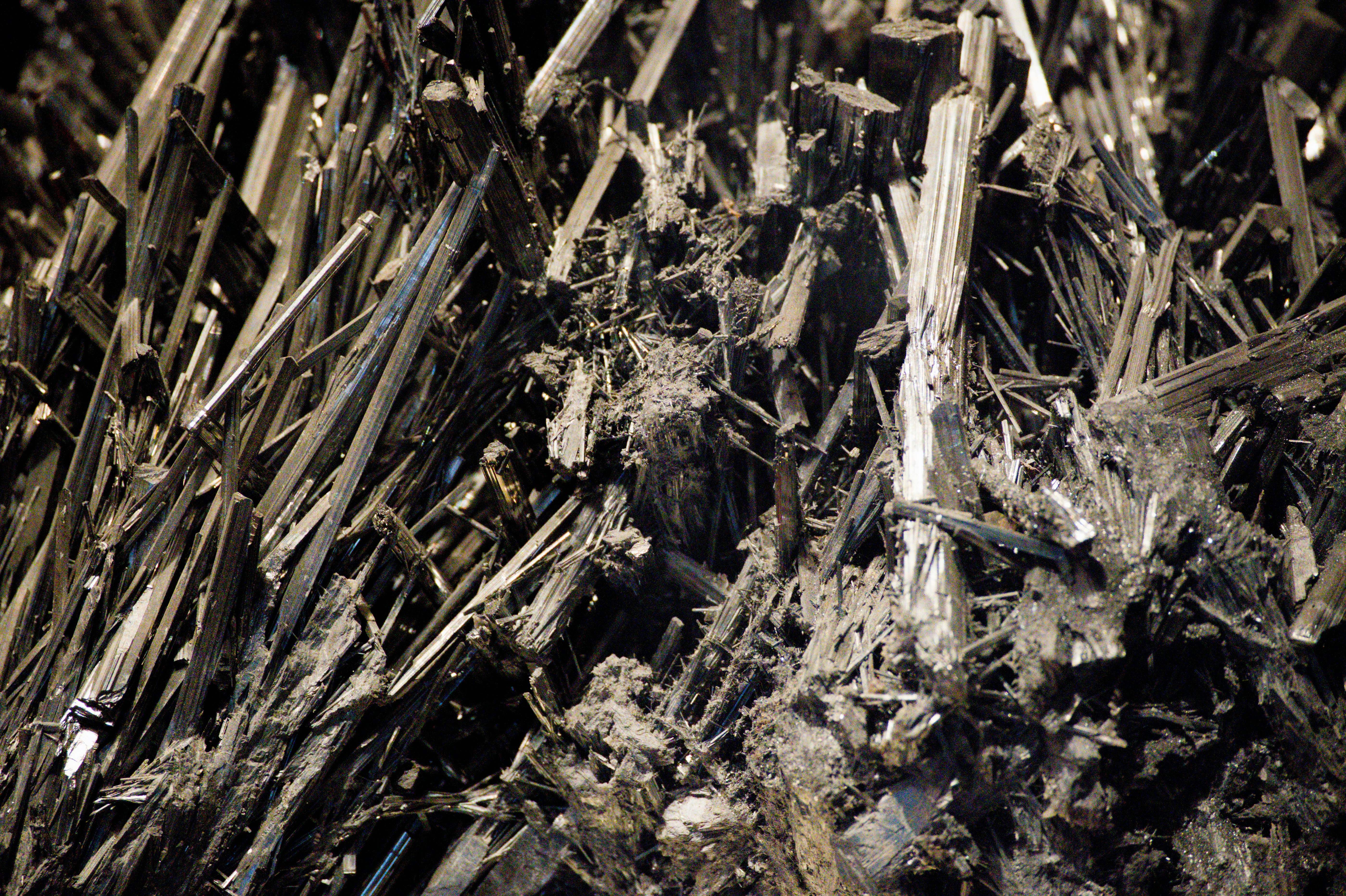 Photo by aminzabardast