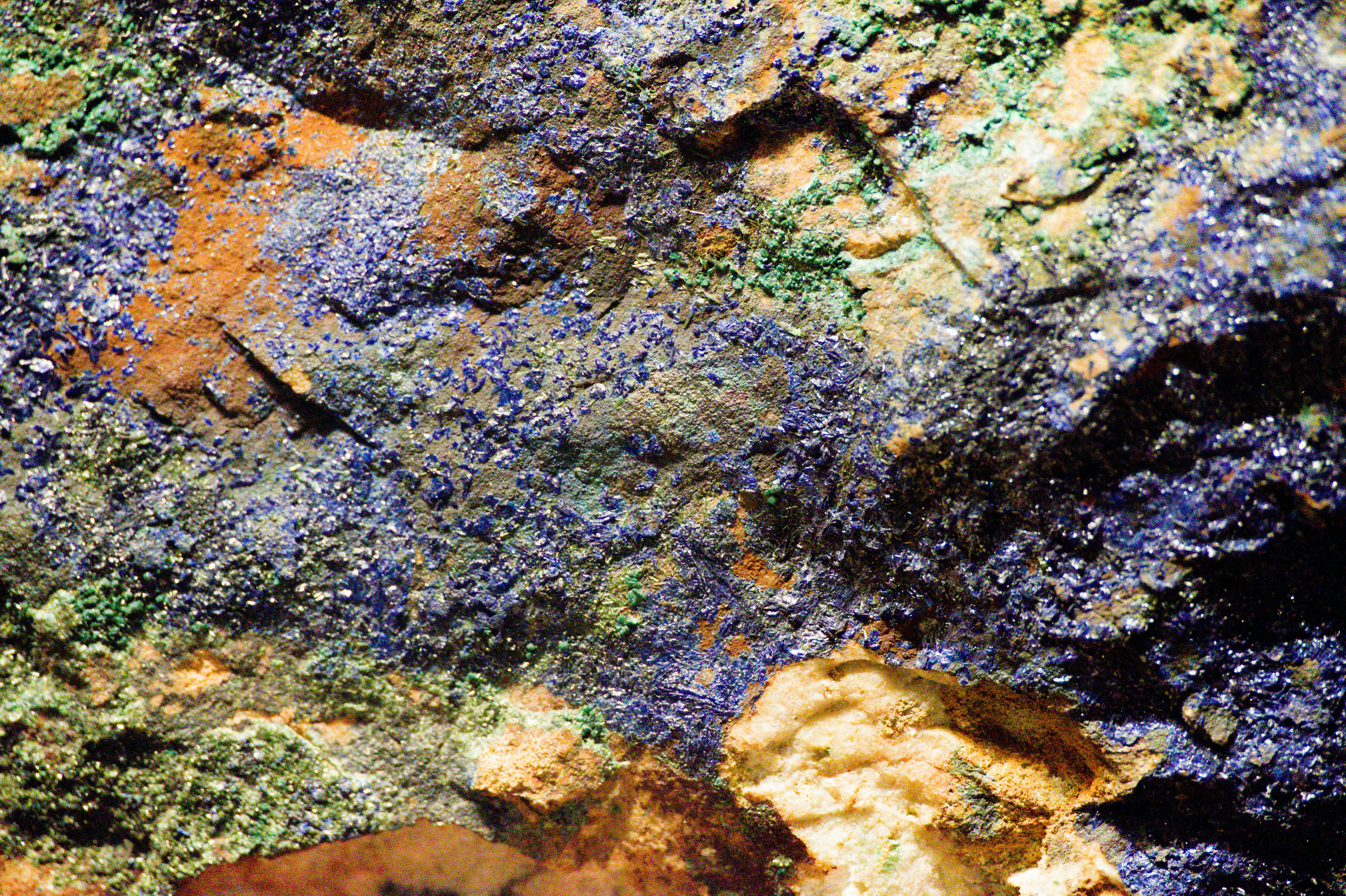 Photo by aminzabardast