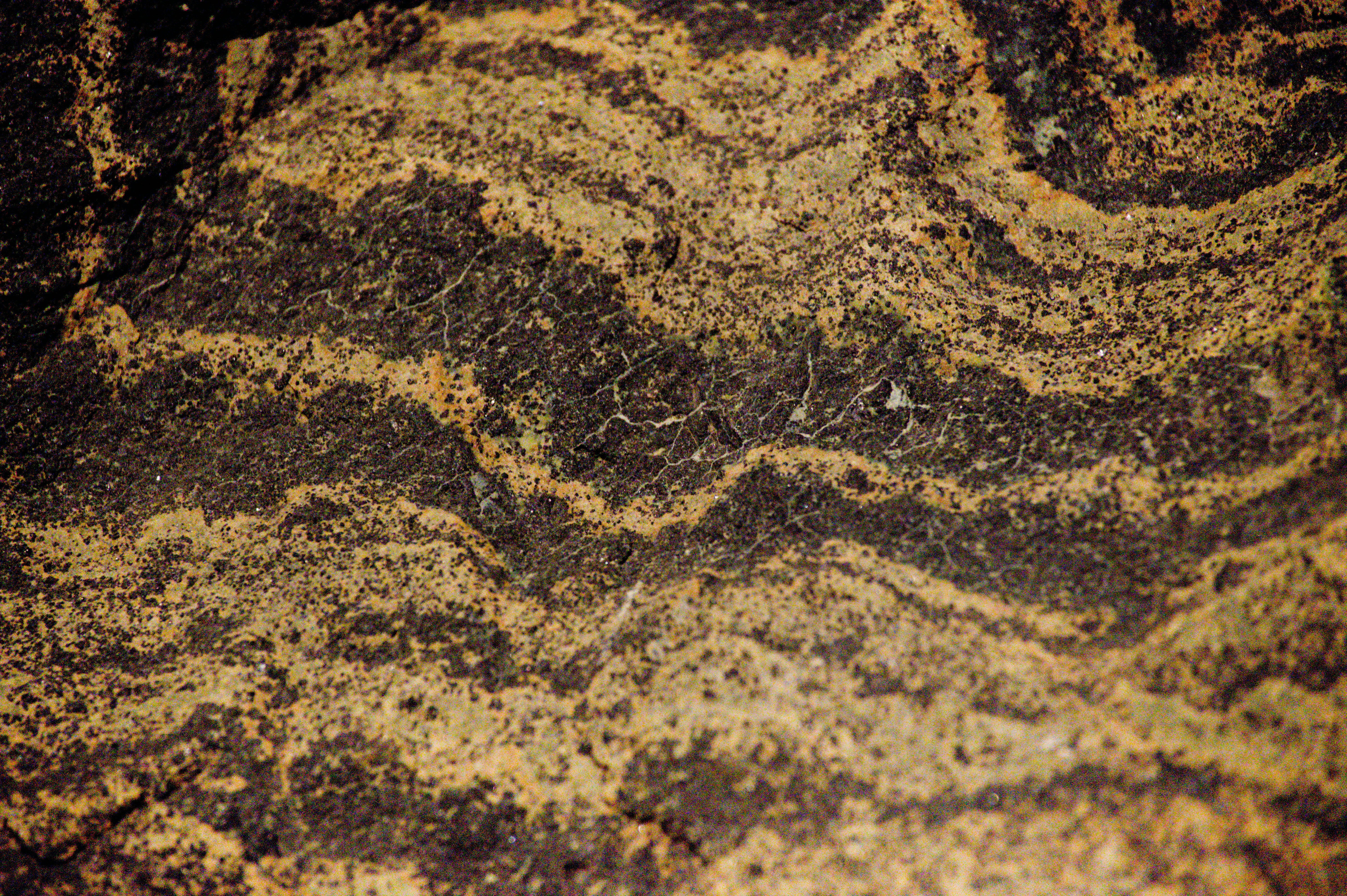 Photo by aminzabardast