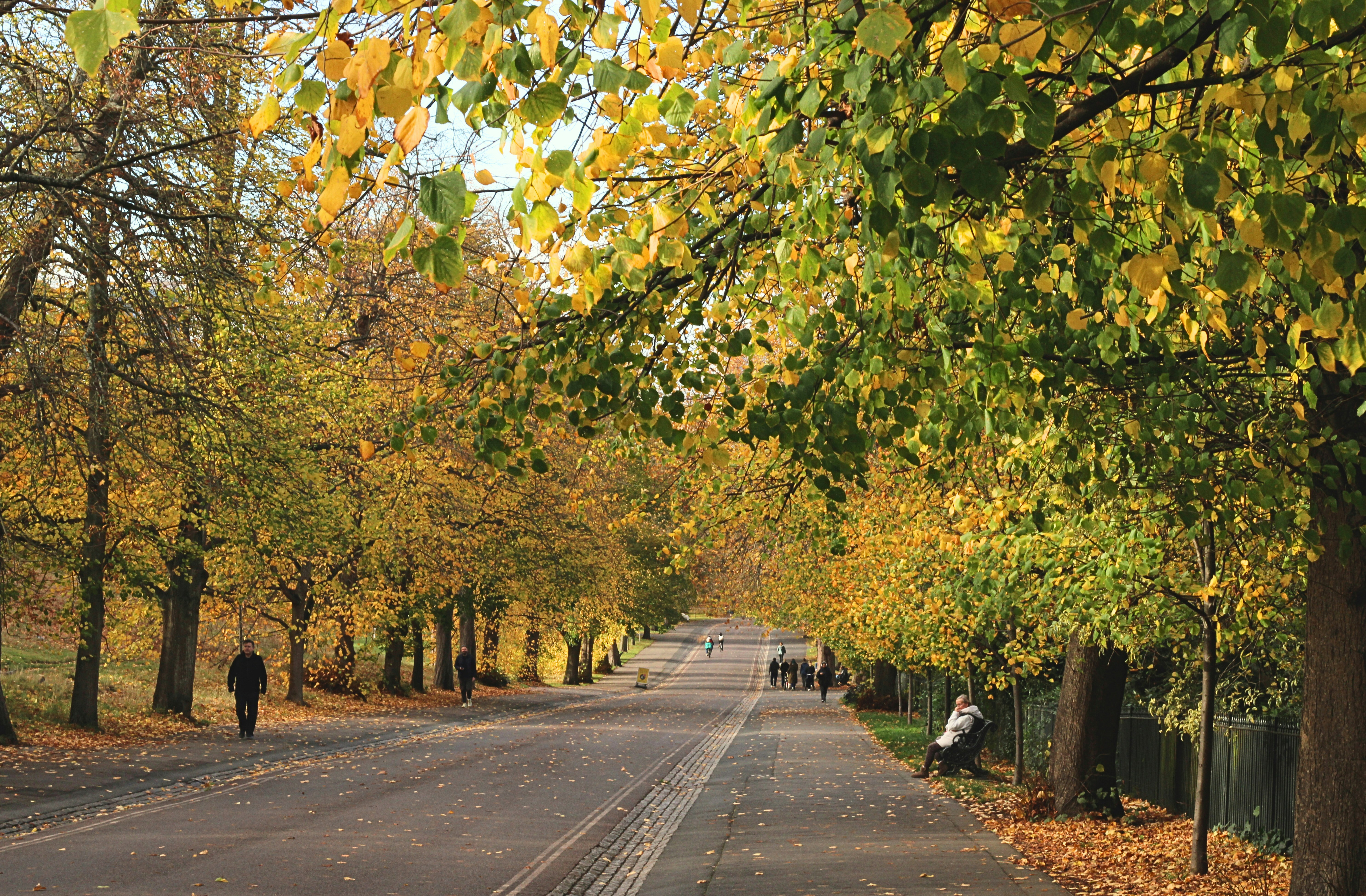 Photo by reinesalome