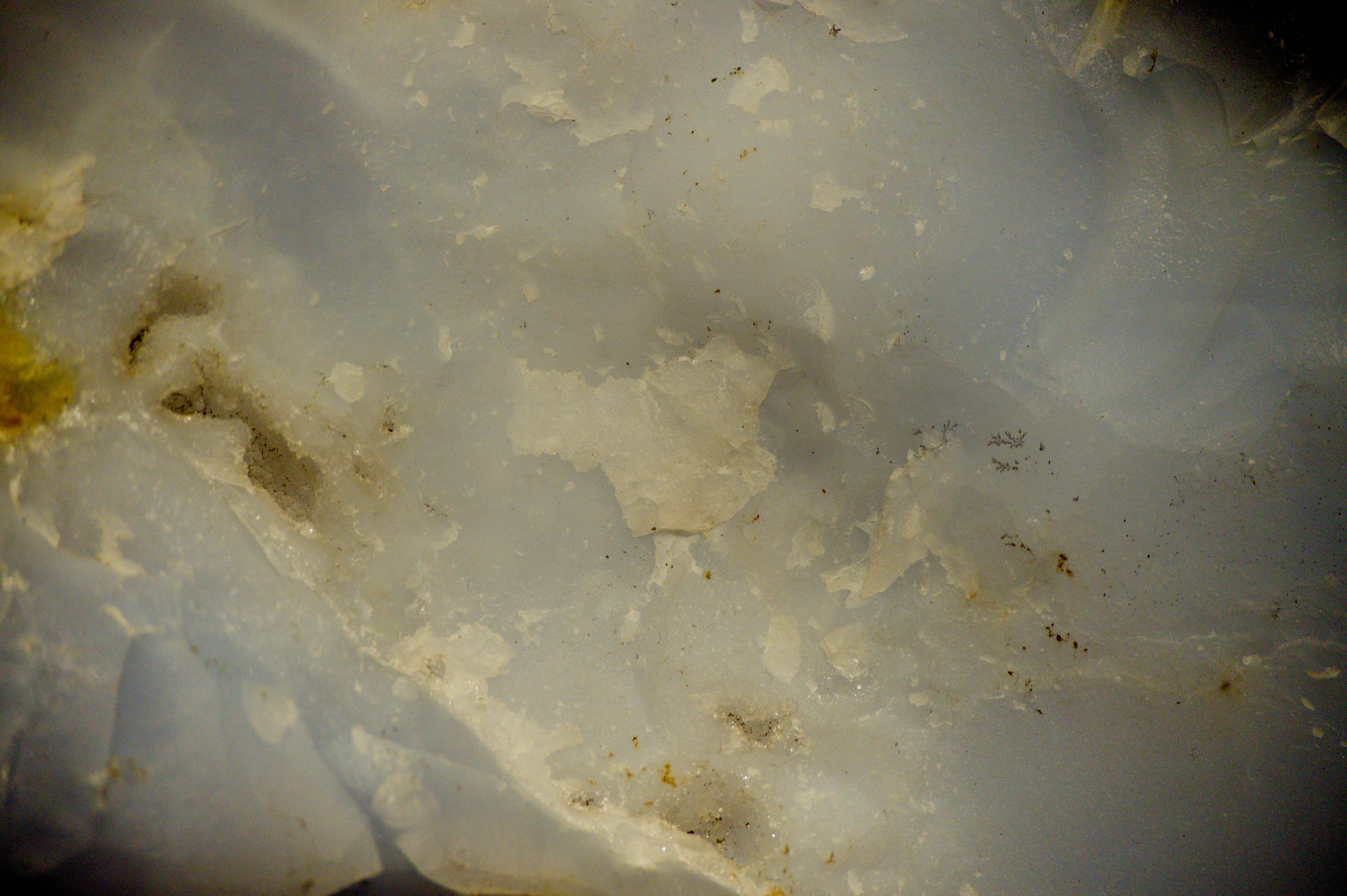 Photo by aminzabardast