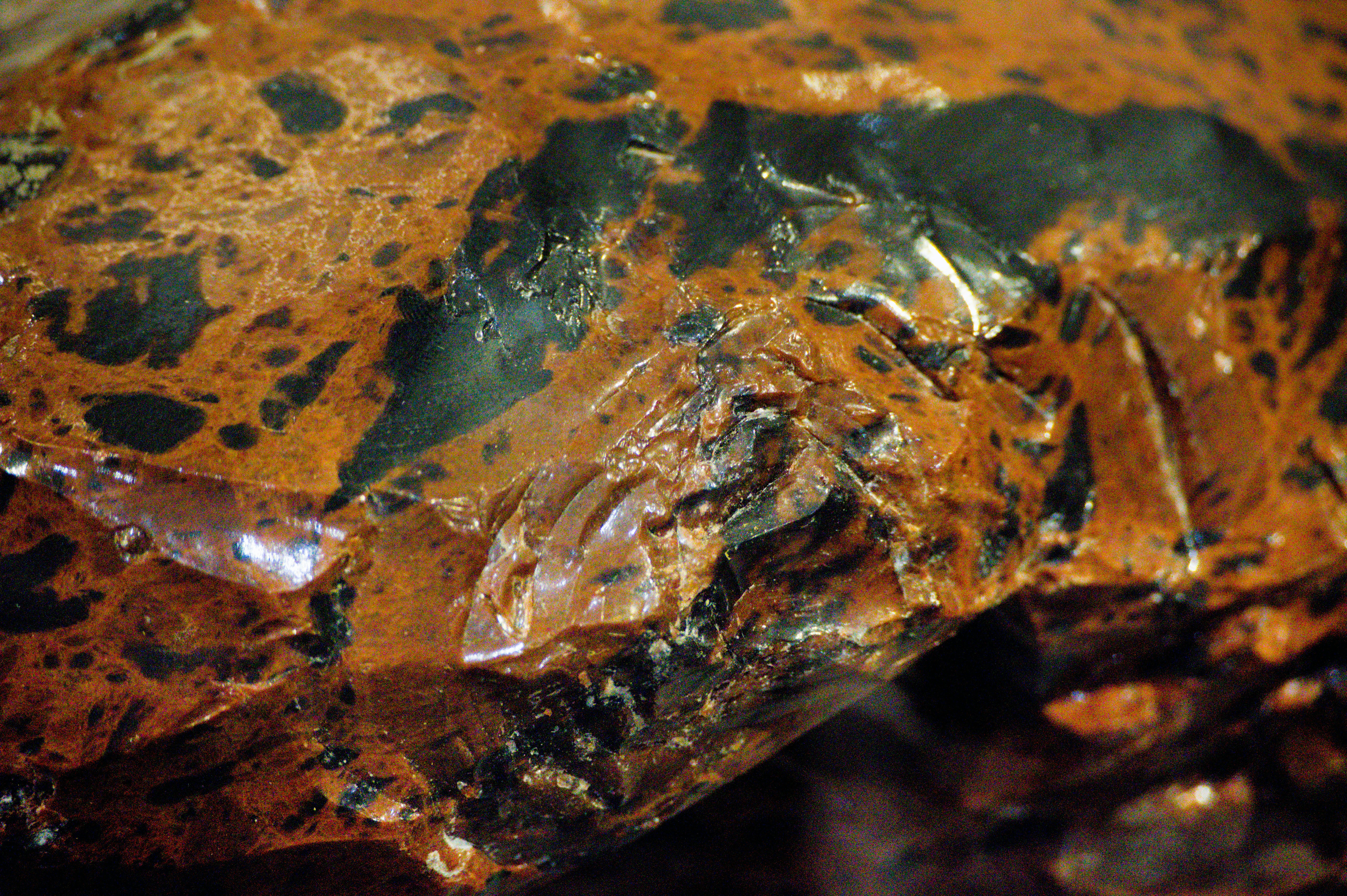 Close-up of a rough, brown and black rock surface.