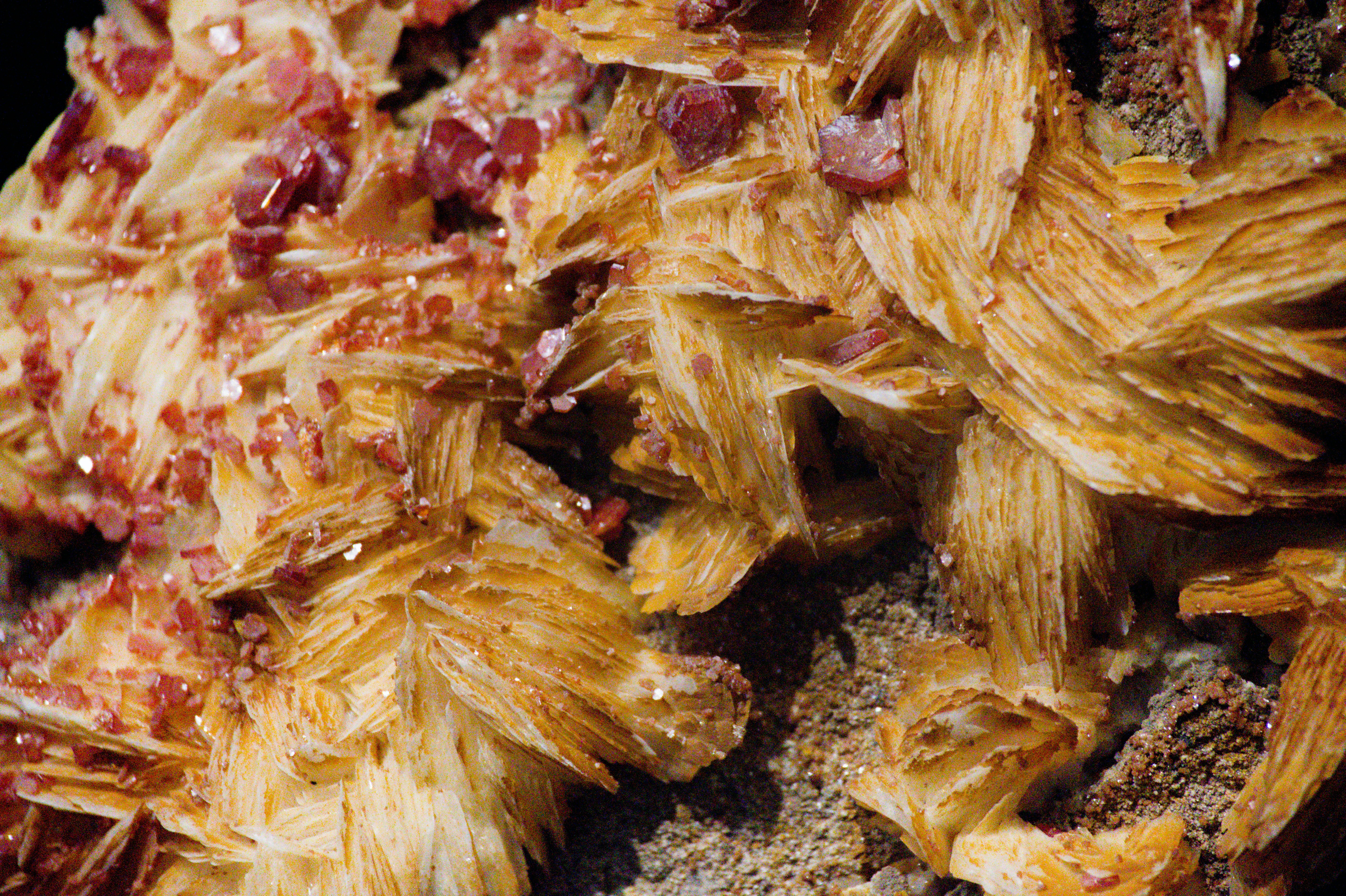 Photo by aminzabardast