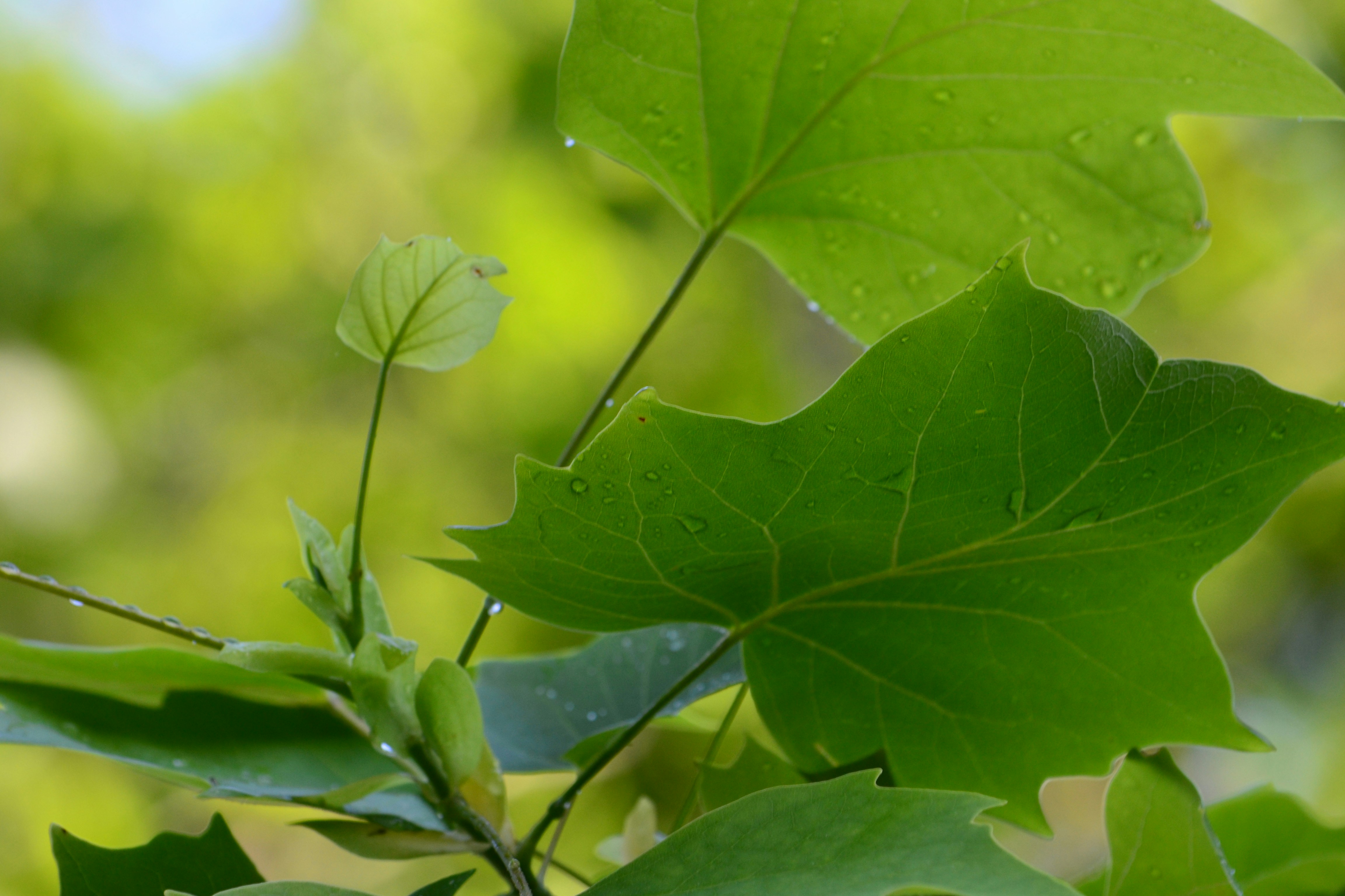 Photo by tatianna161