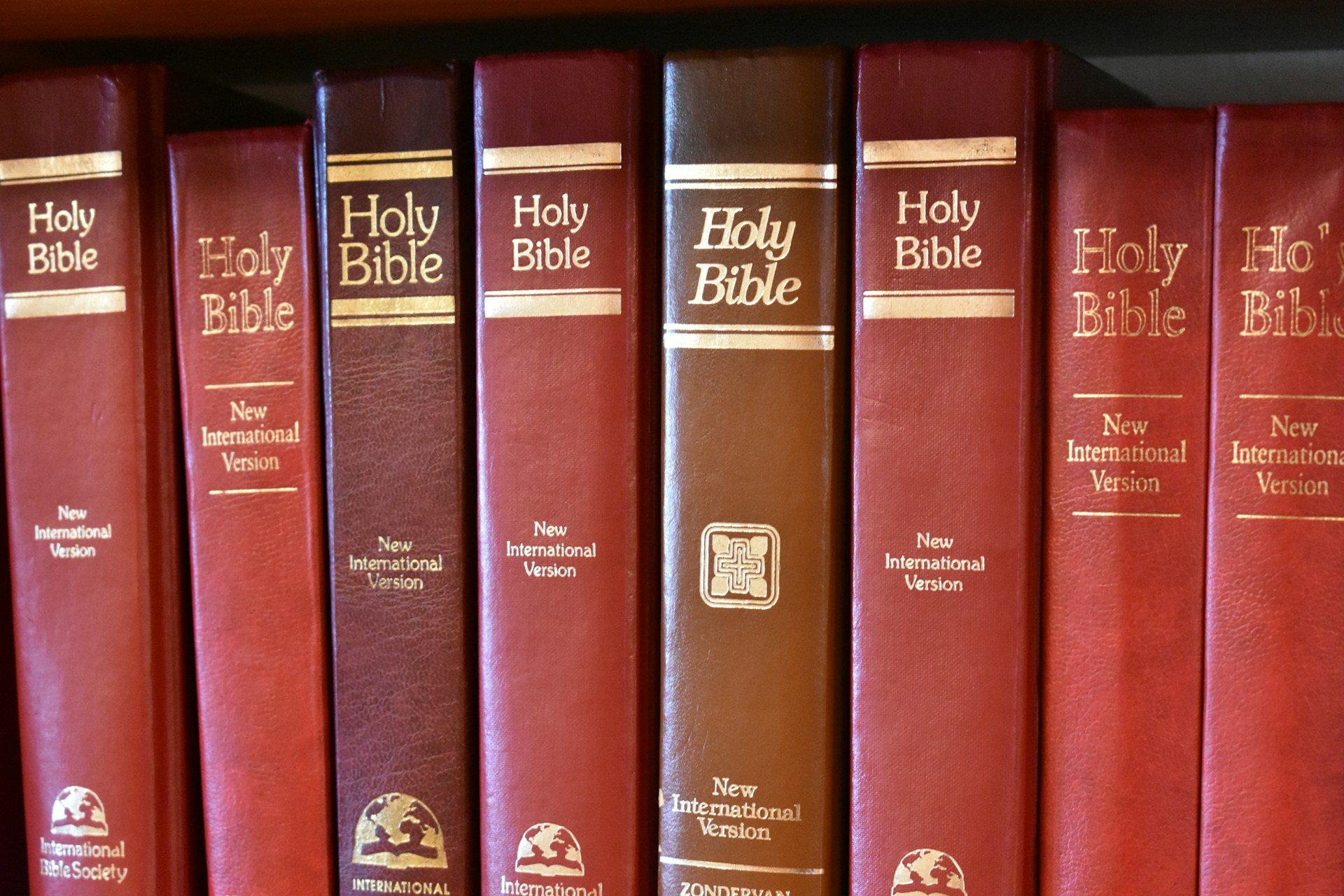 Row of red holy bible books on shelf
