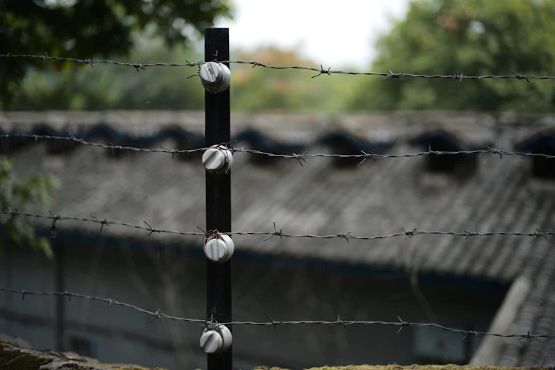 Electric fence wires strung along insulated posts on a perimeter wall