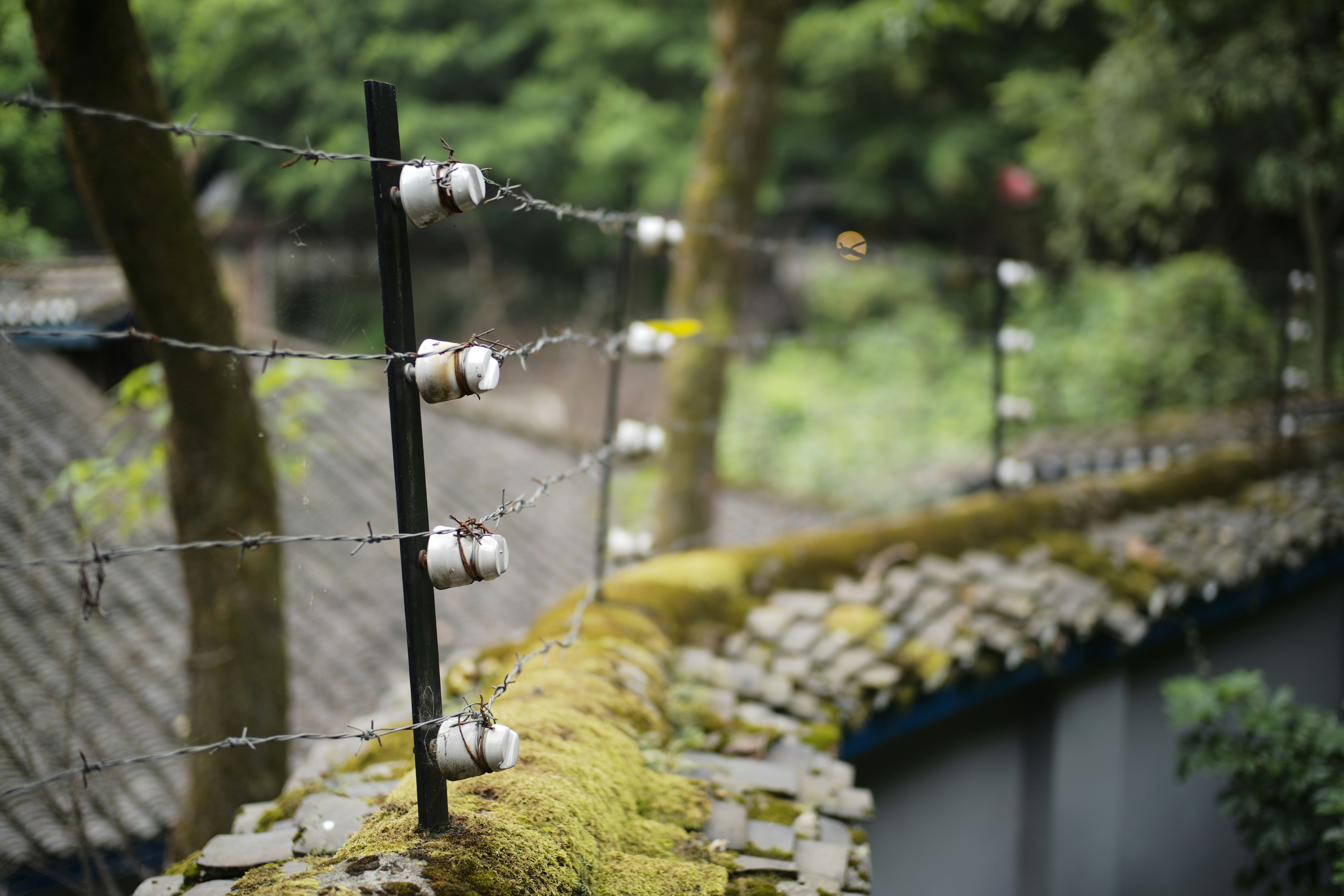 Electric fence on a moss-covered wall