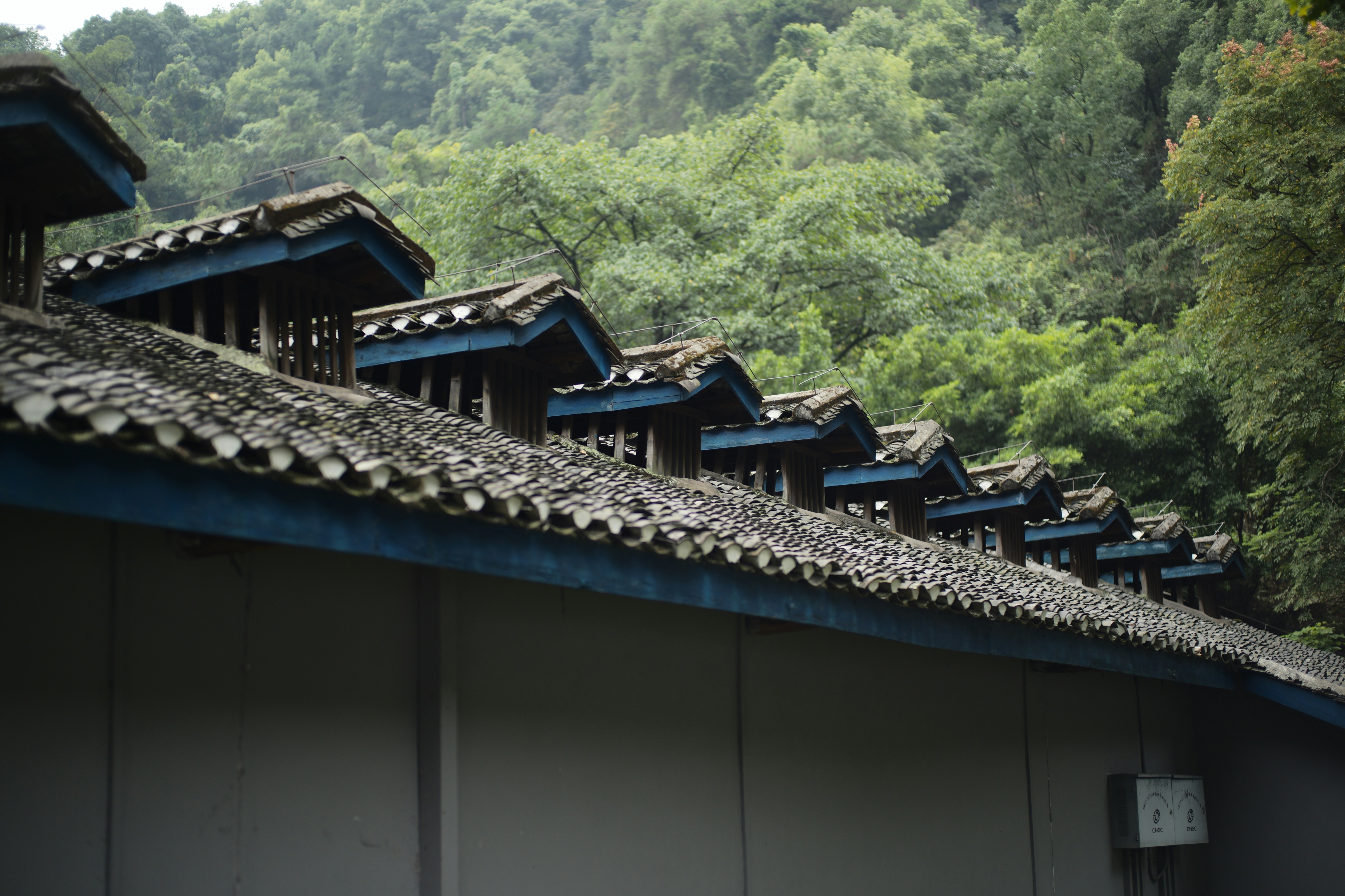 Photo by fenghua1975