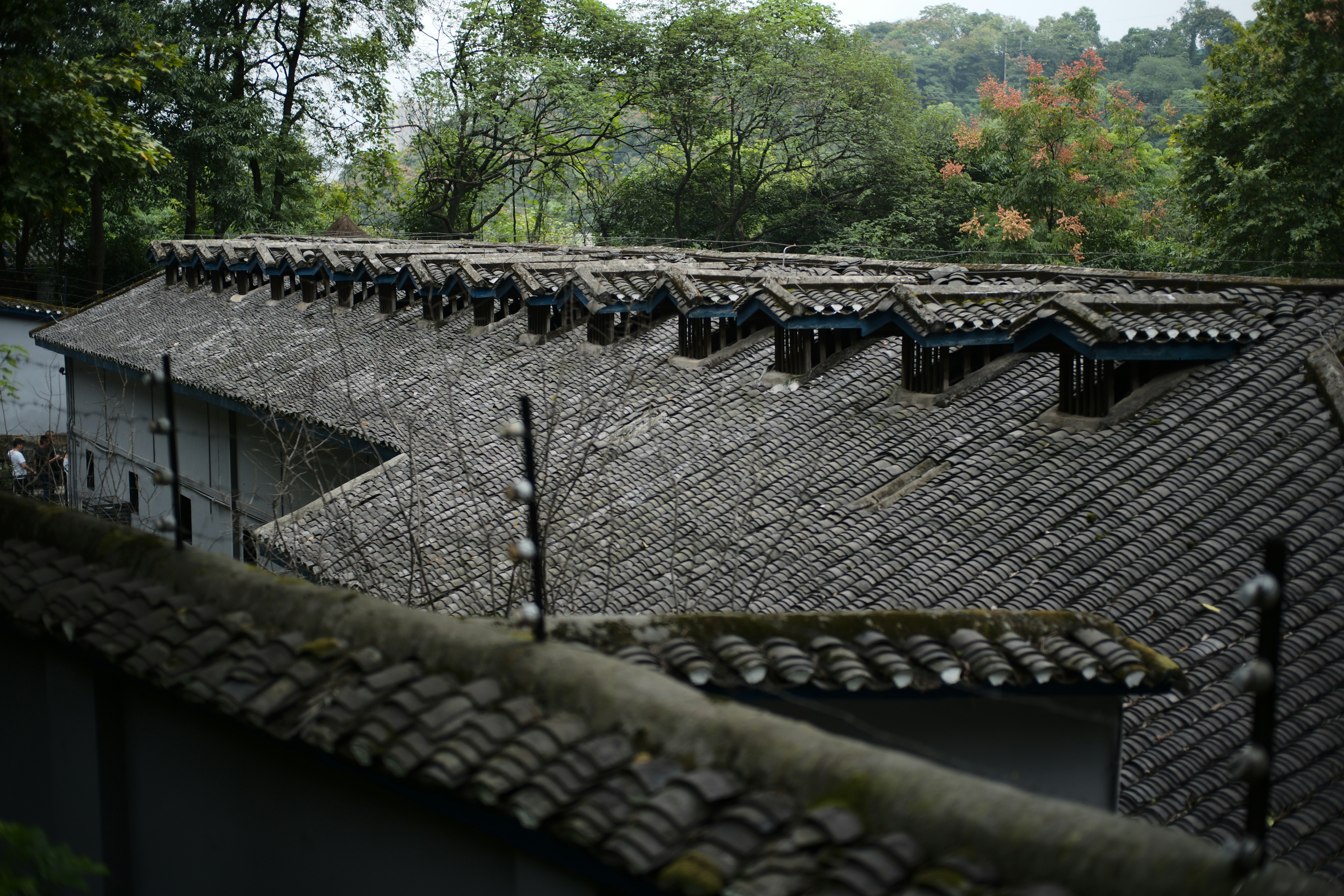 Photo by fenghua1975