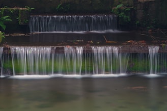 Water cascades over mossy steps in a tranquil stream.