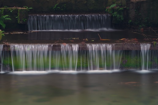 Water cascades over mossy steps in a tranquil stream.