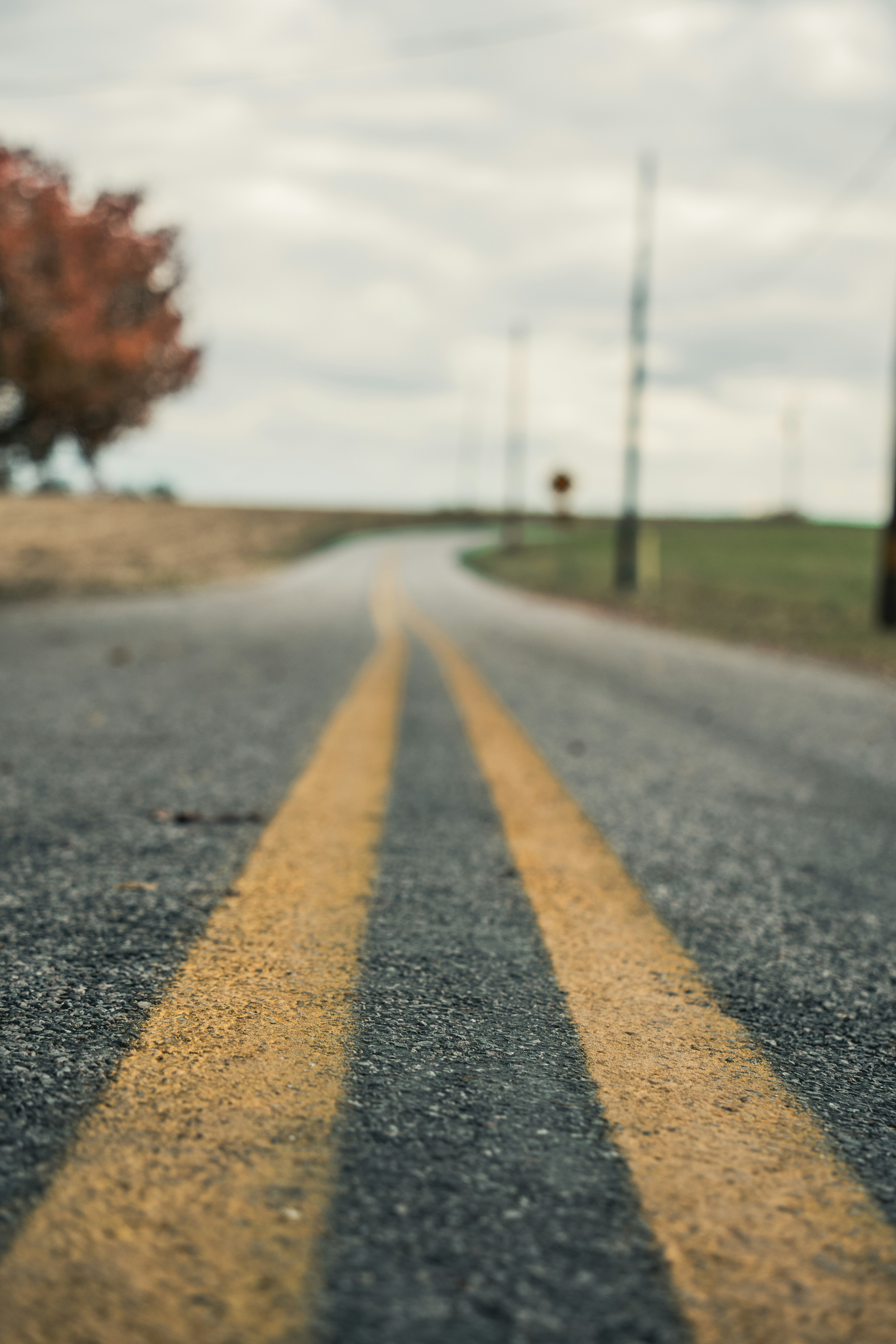 Photo by william_hadley_us