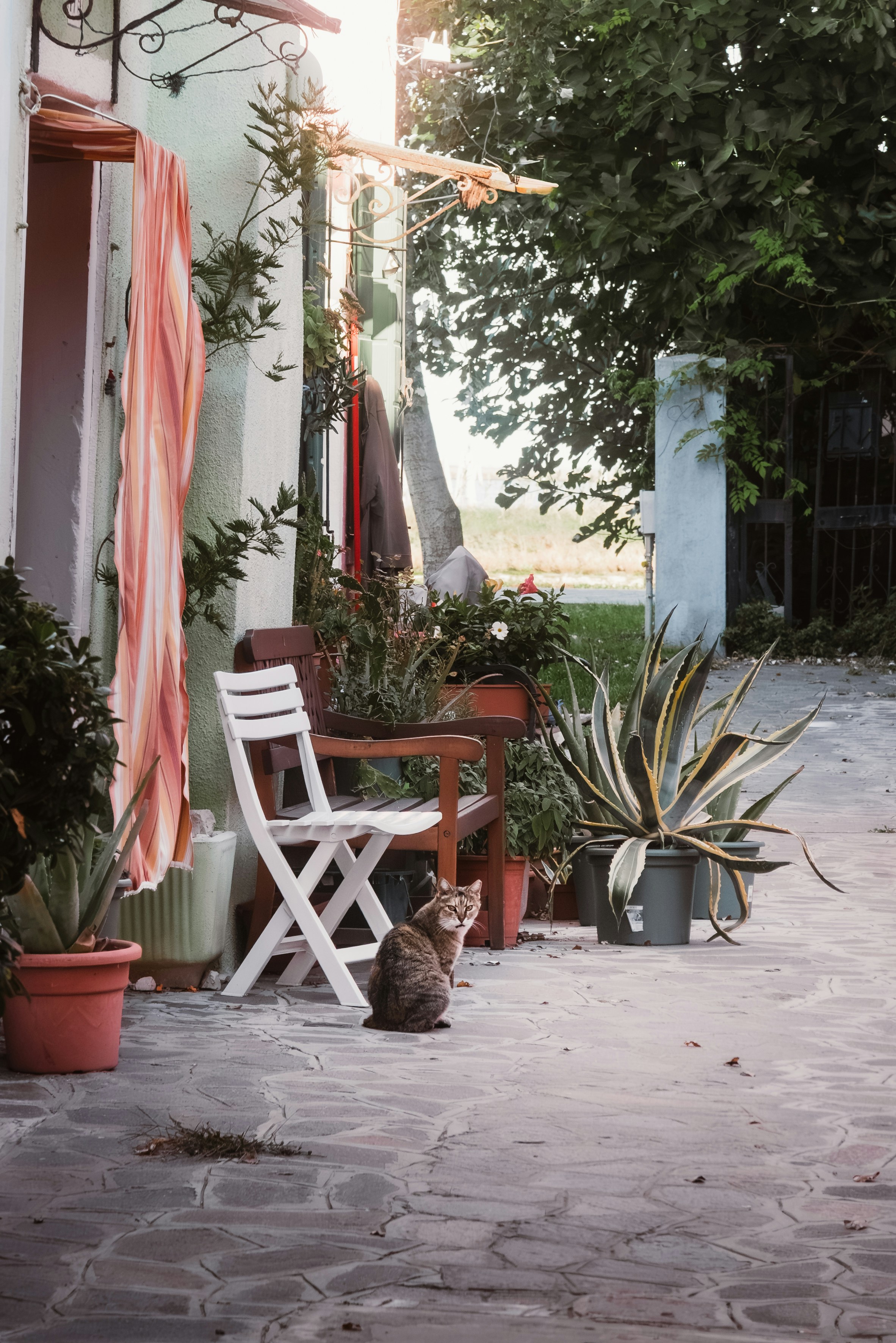 Photo by ahmetyuksek