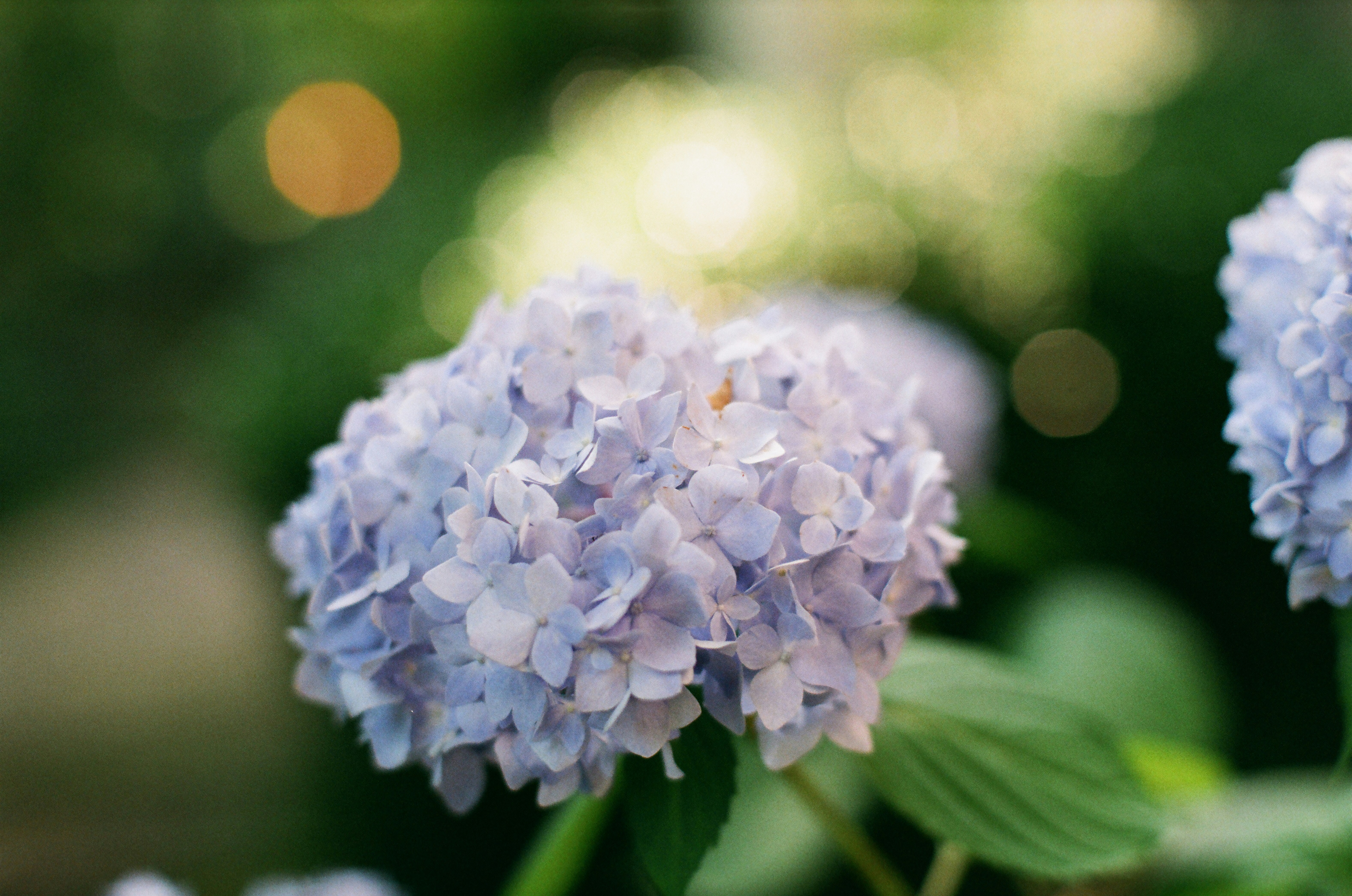 Photo by theolaflamme