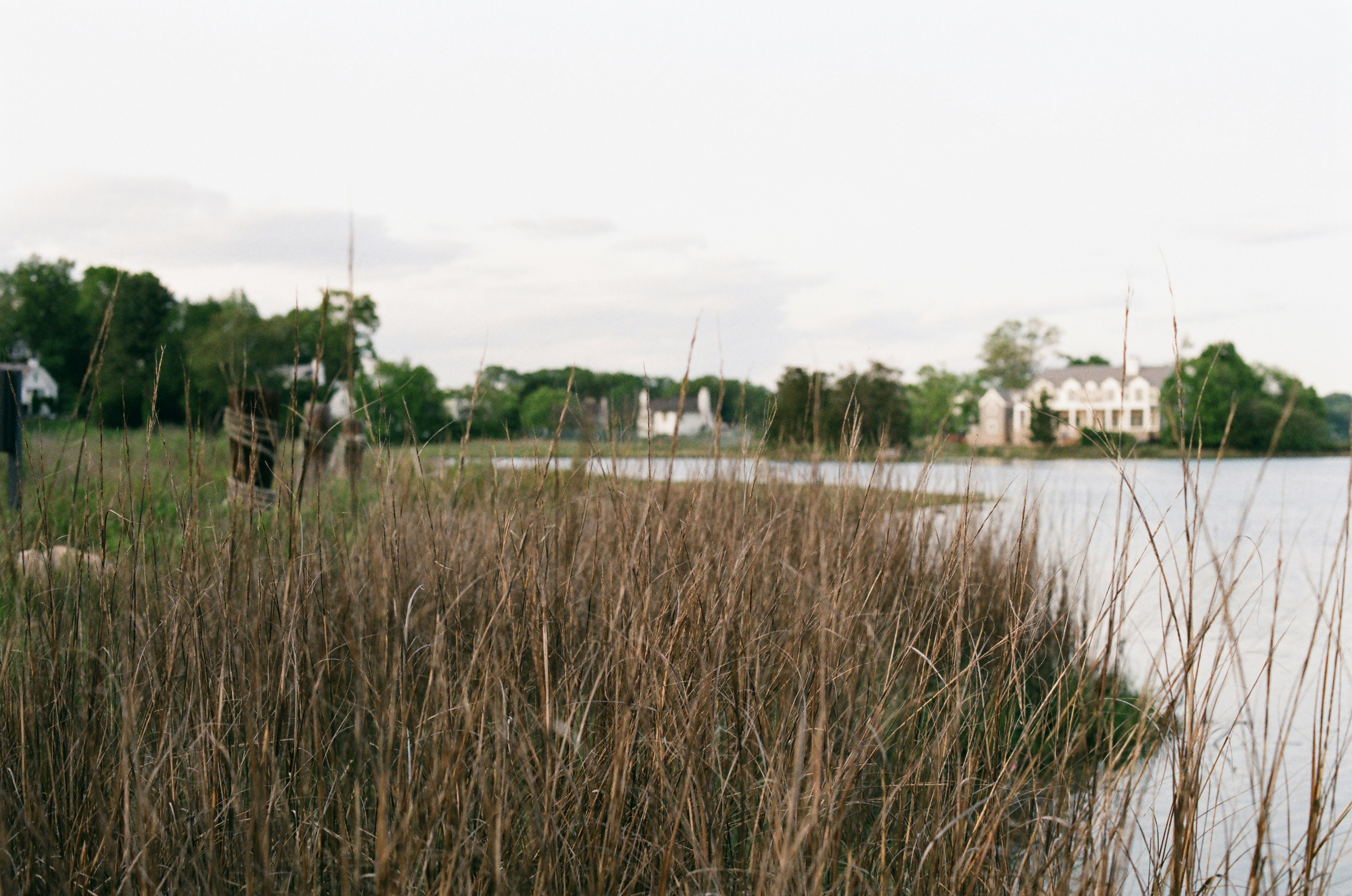 Photo by theolaflamme