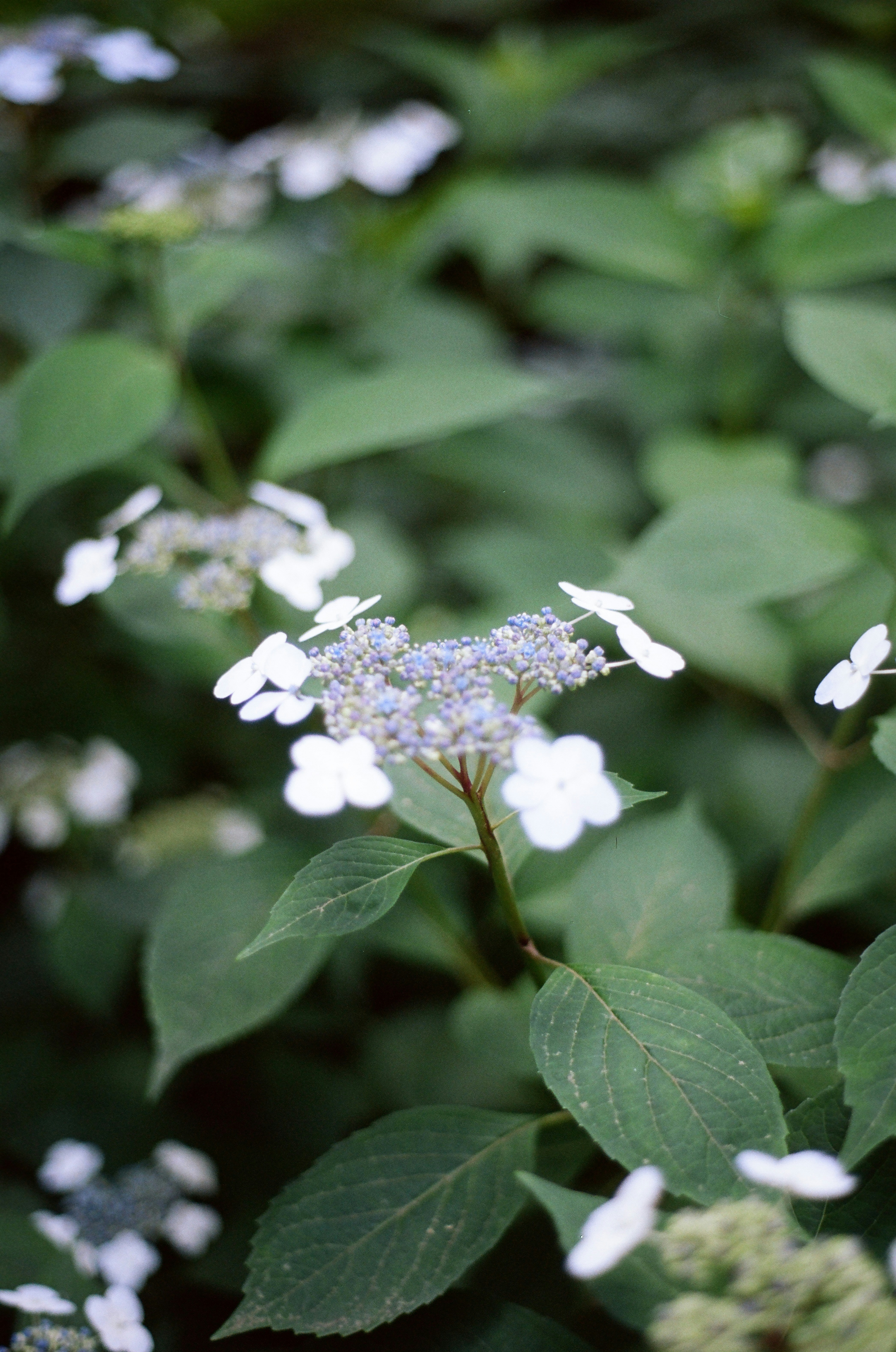 Photo by theolaflamme