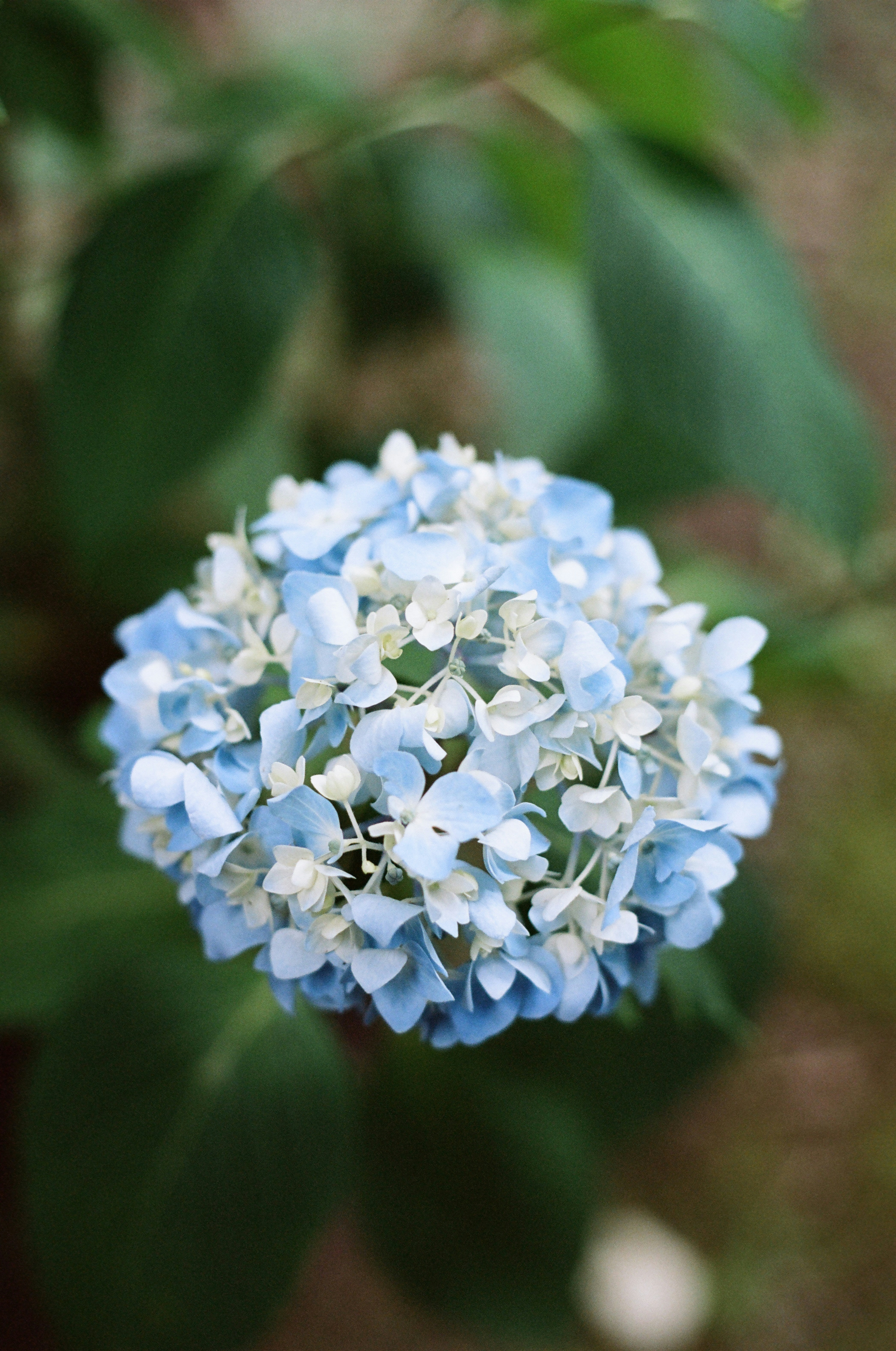 Photo by theolaflamme