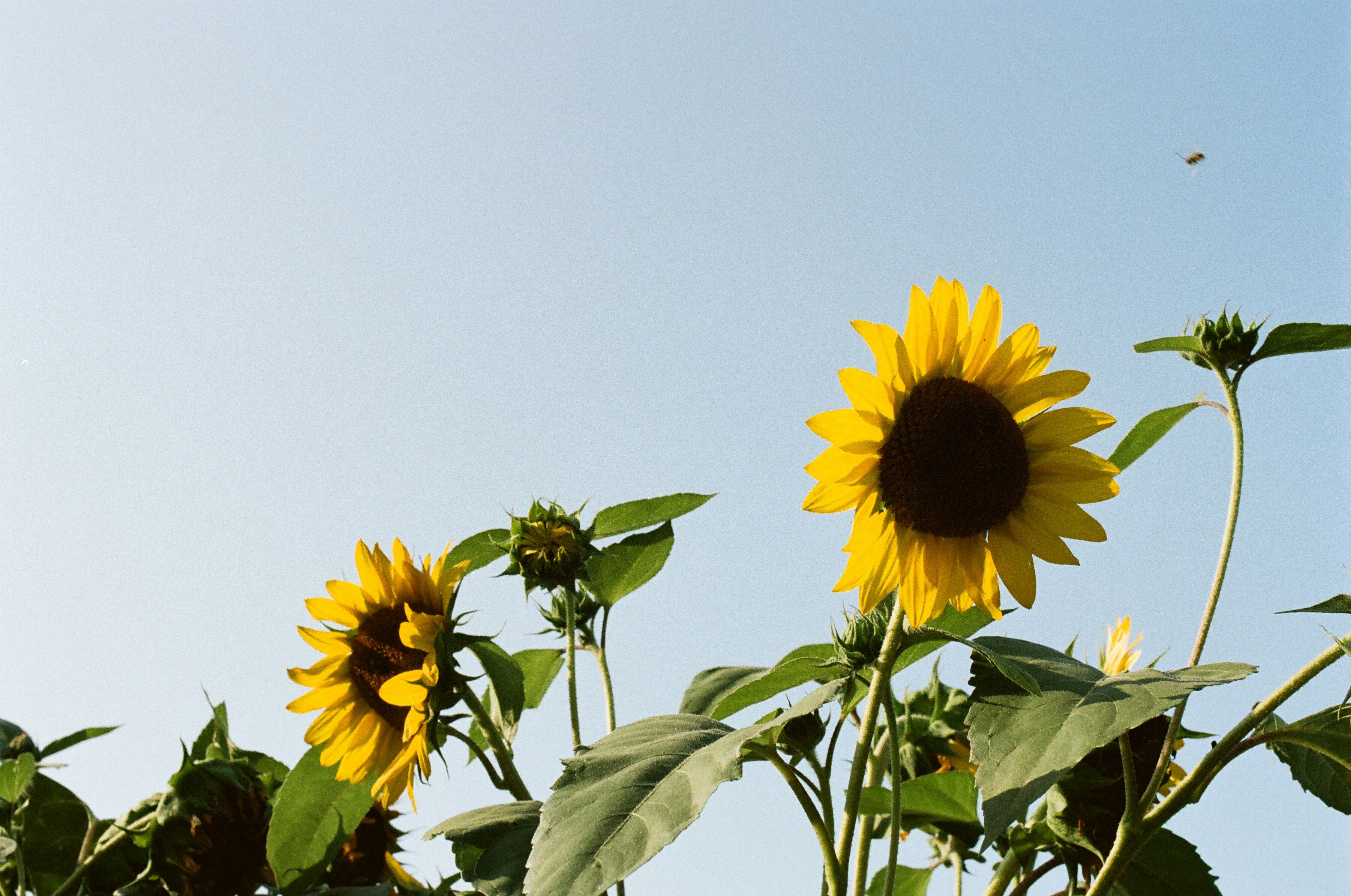 Photo by theolaflamme