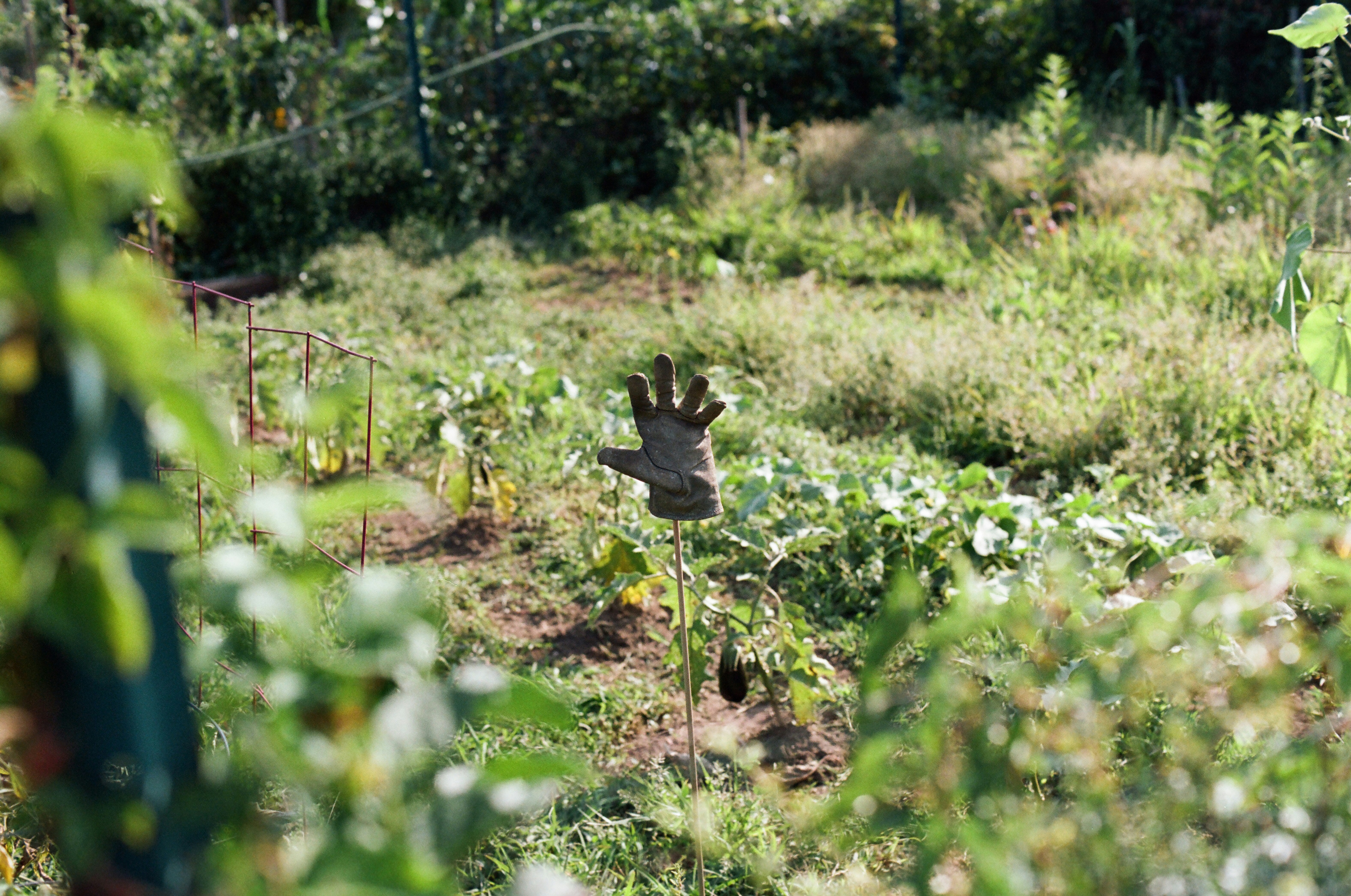 Photo by theolaflamme