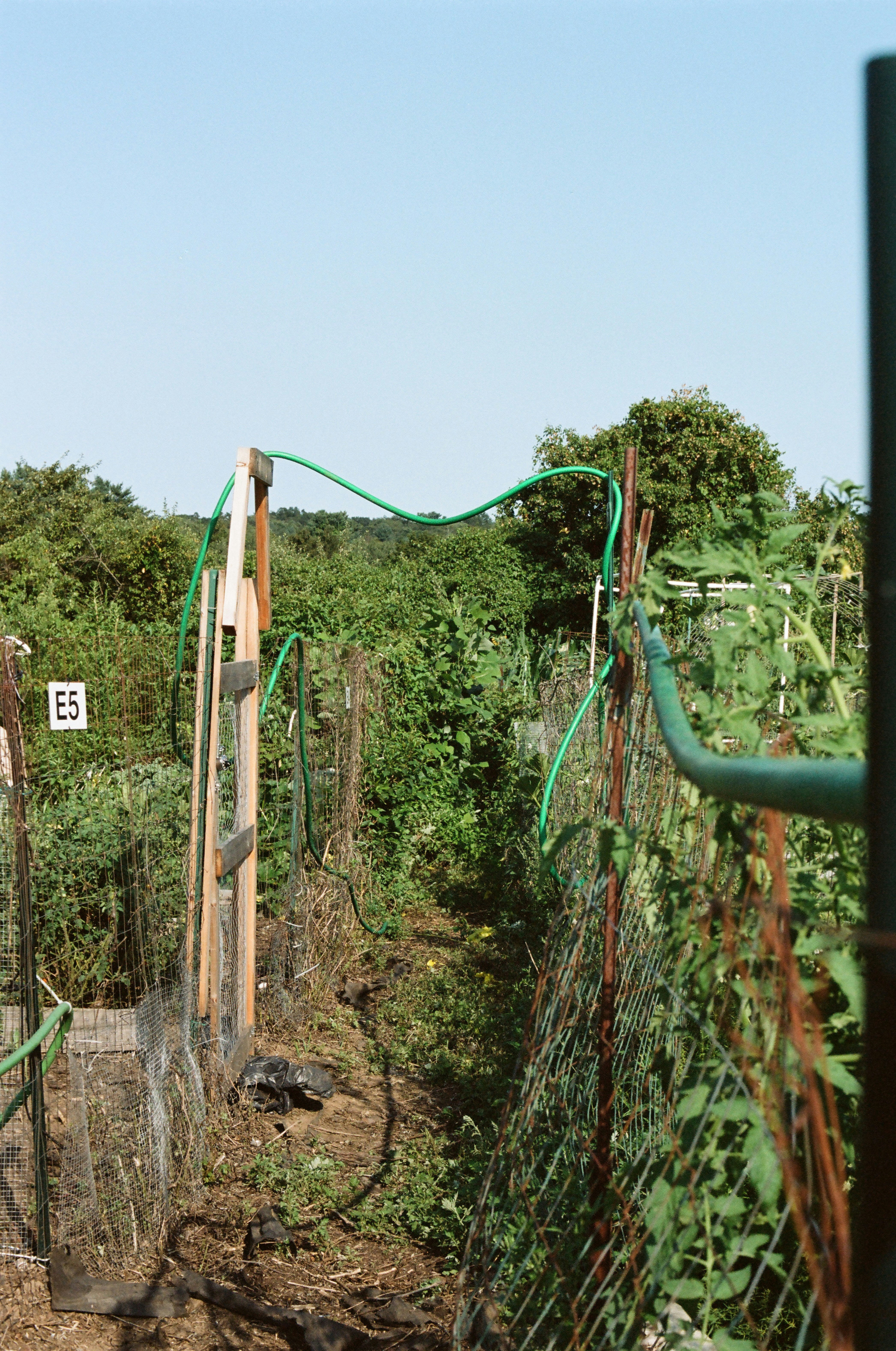 sustainable fencing