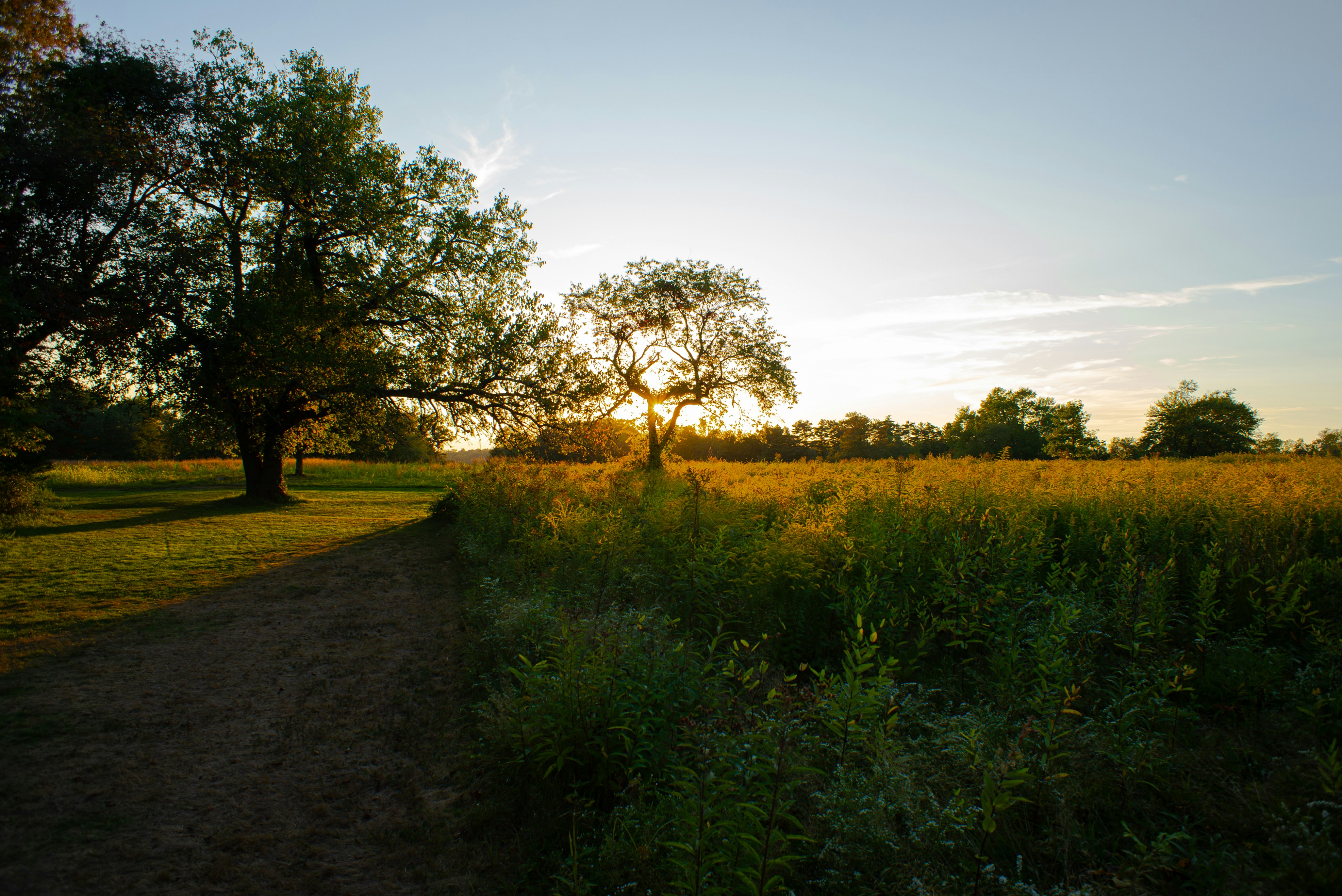 Photo by theolaflamme