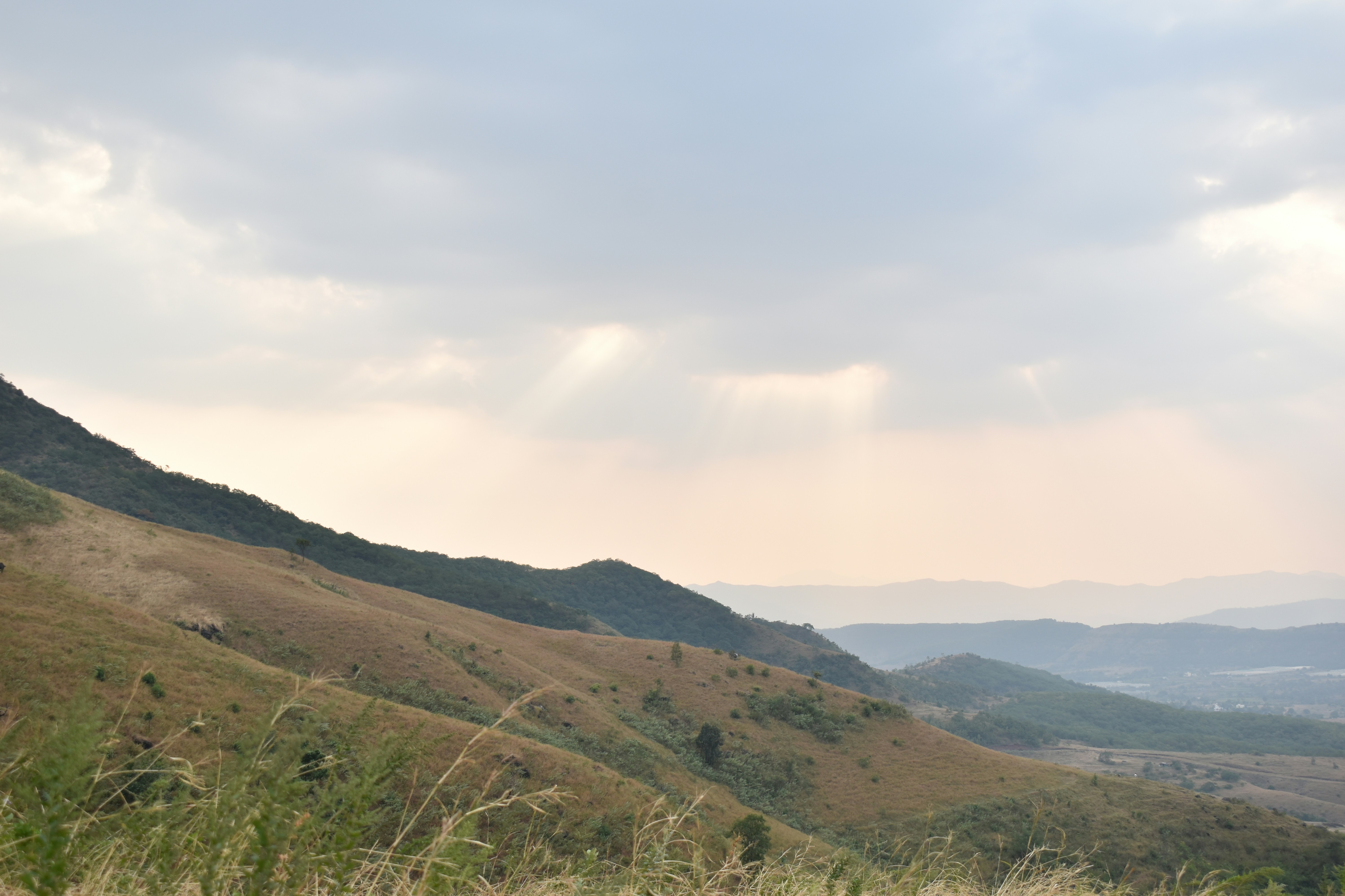 Photo by sssplashes_28