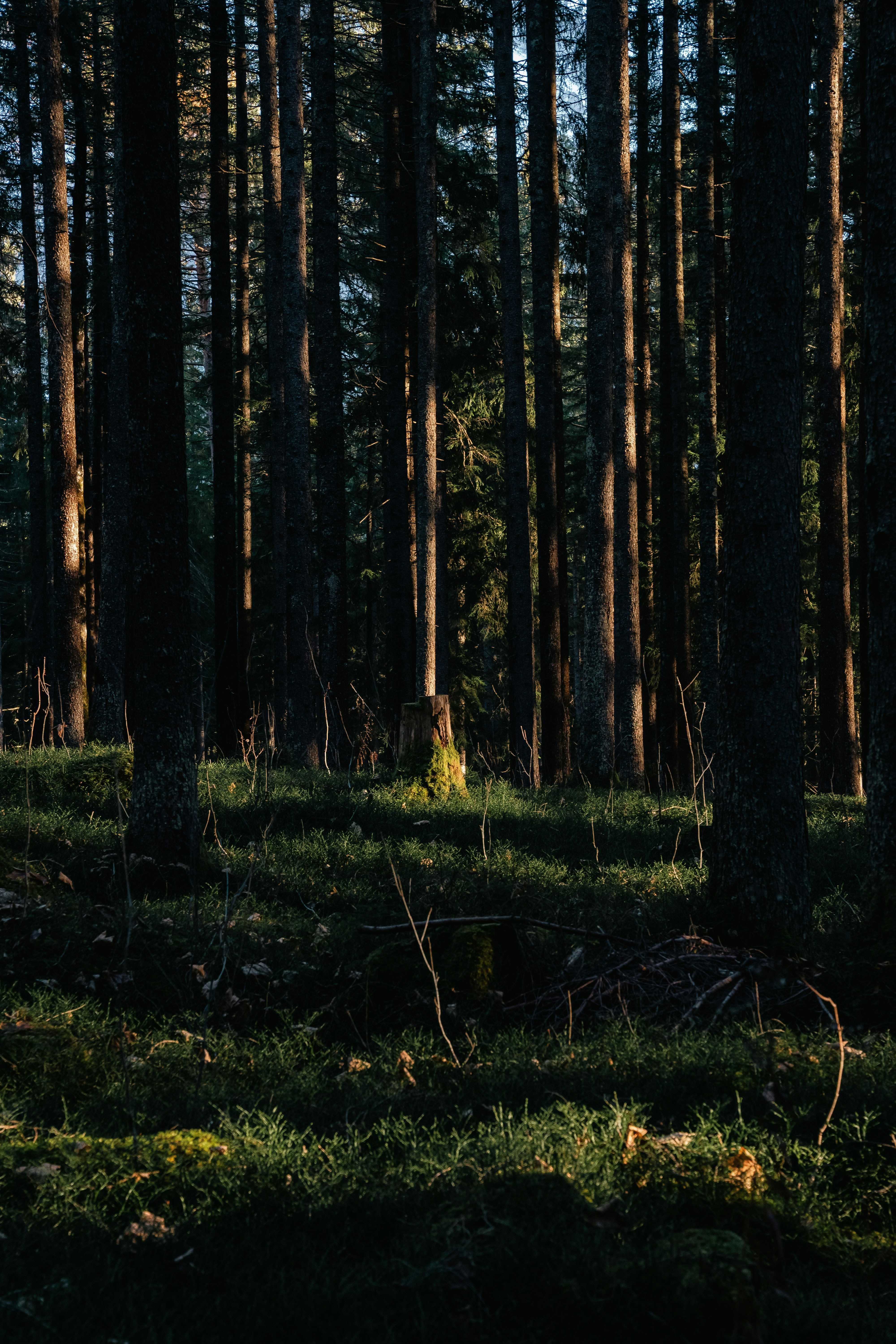 Photo by melina_dominic