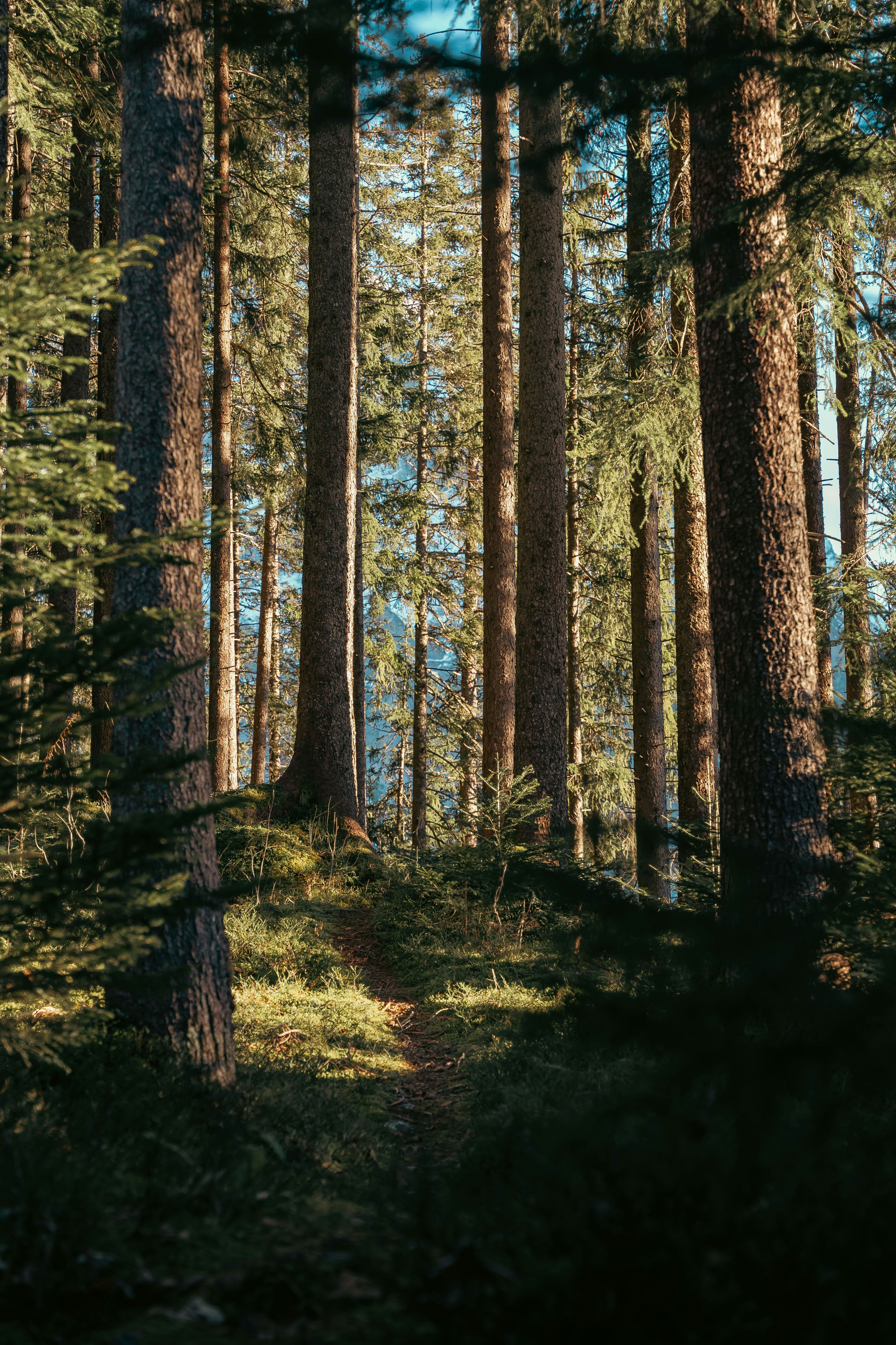 Photo by melina_dominic