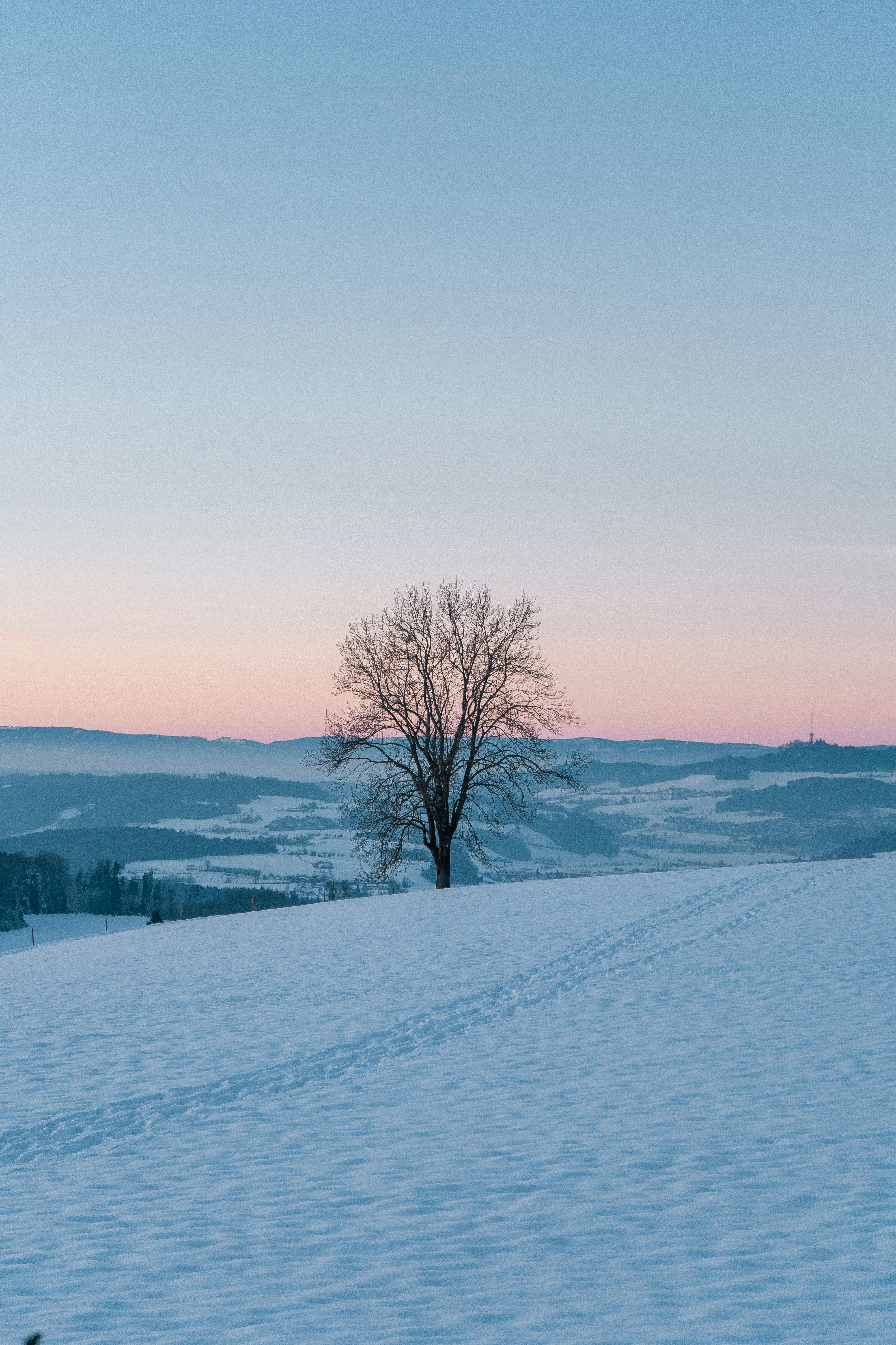 Photo by melina_dominic