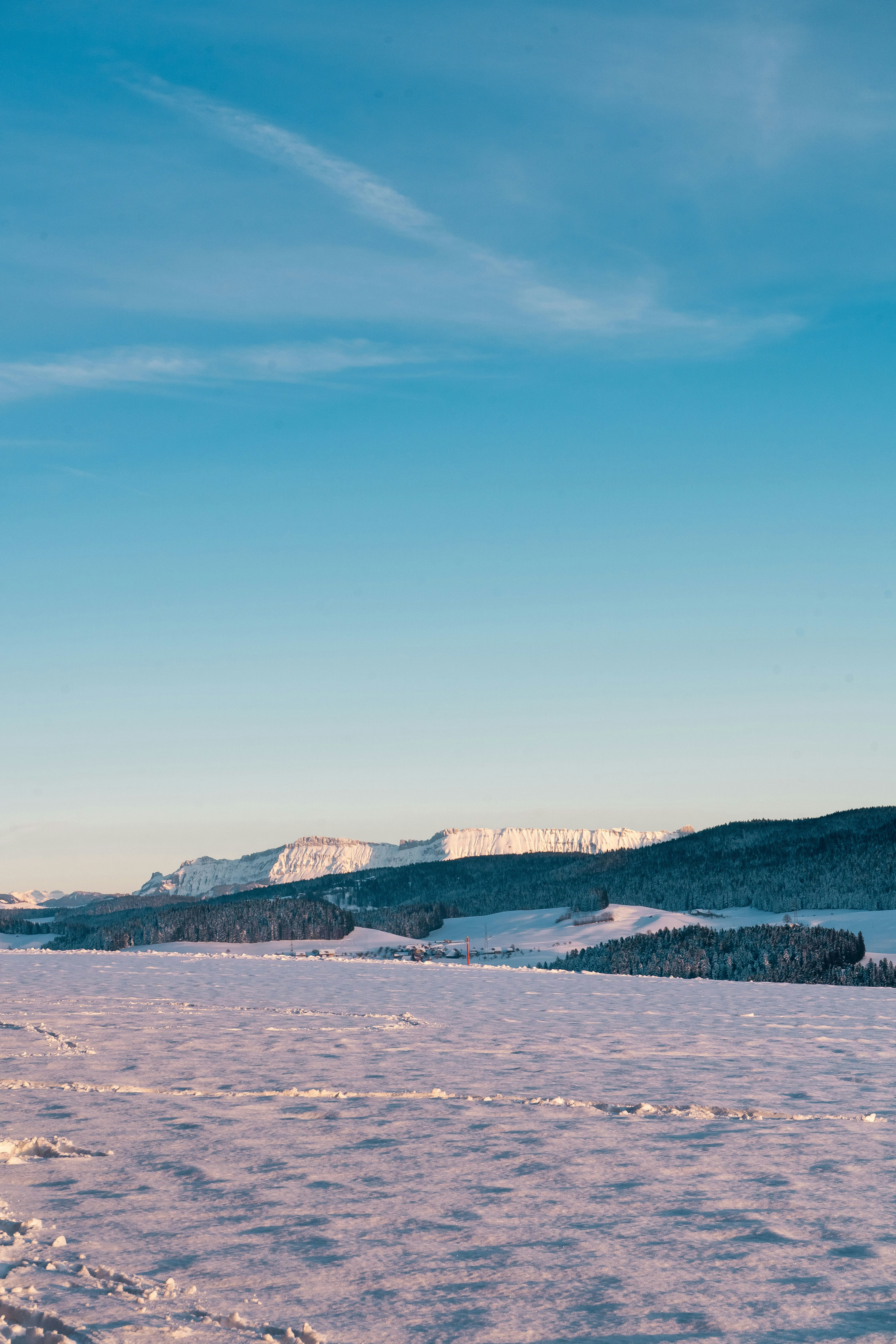 Photo by melina_dominic