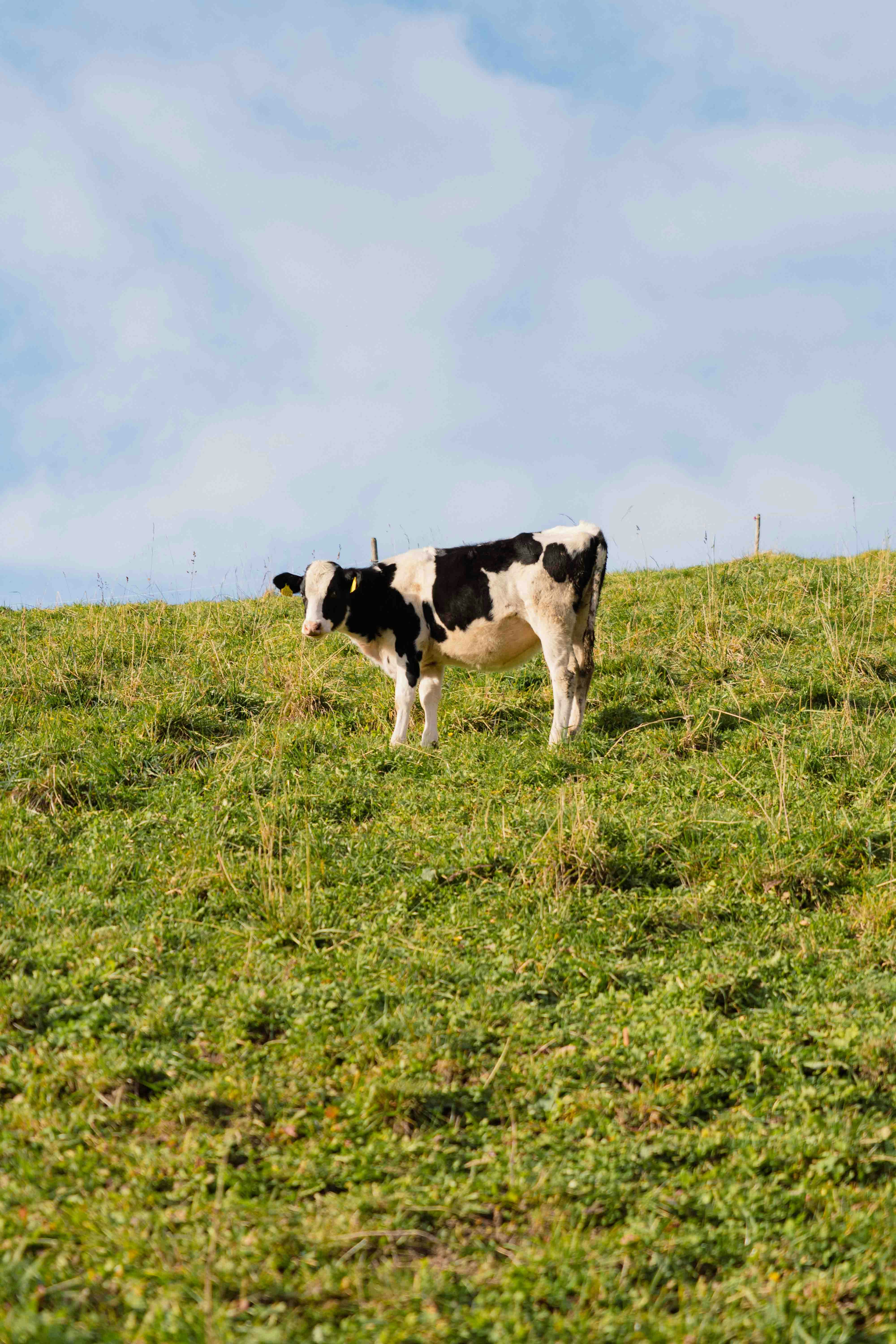 Photo by melina_dominic