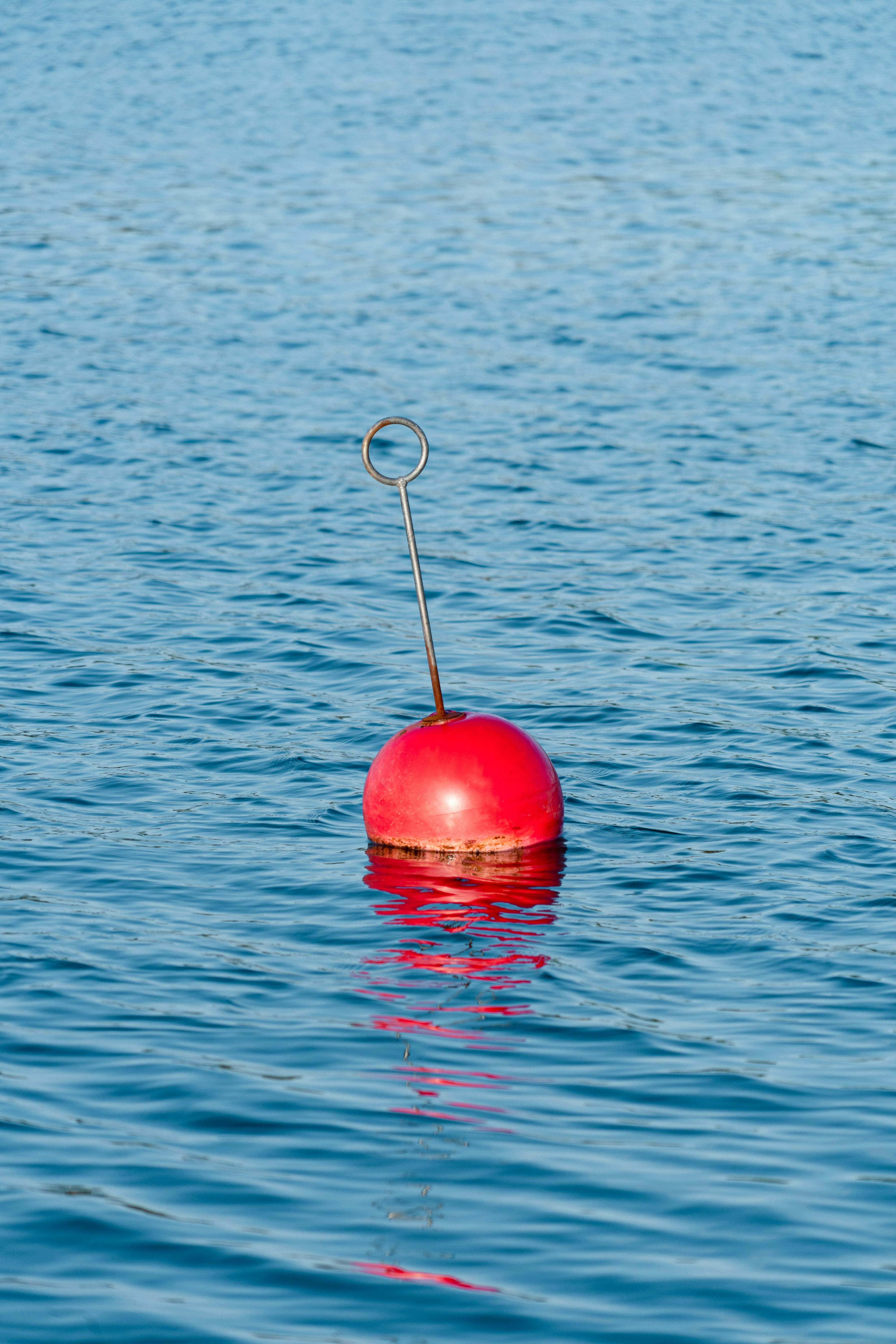 A single red buoy floats on blue water.