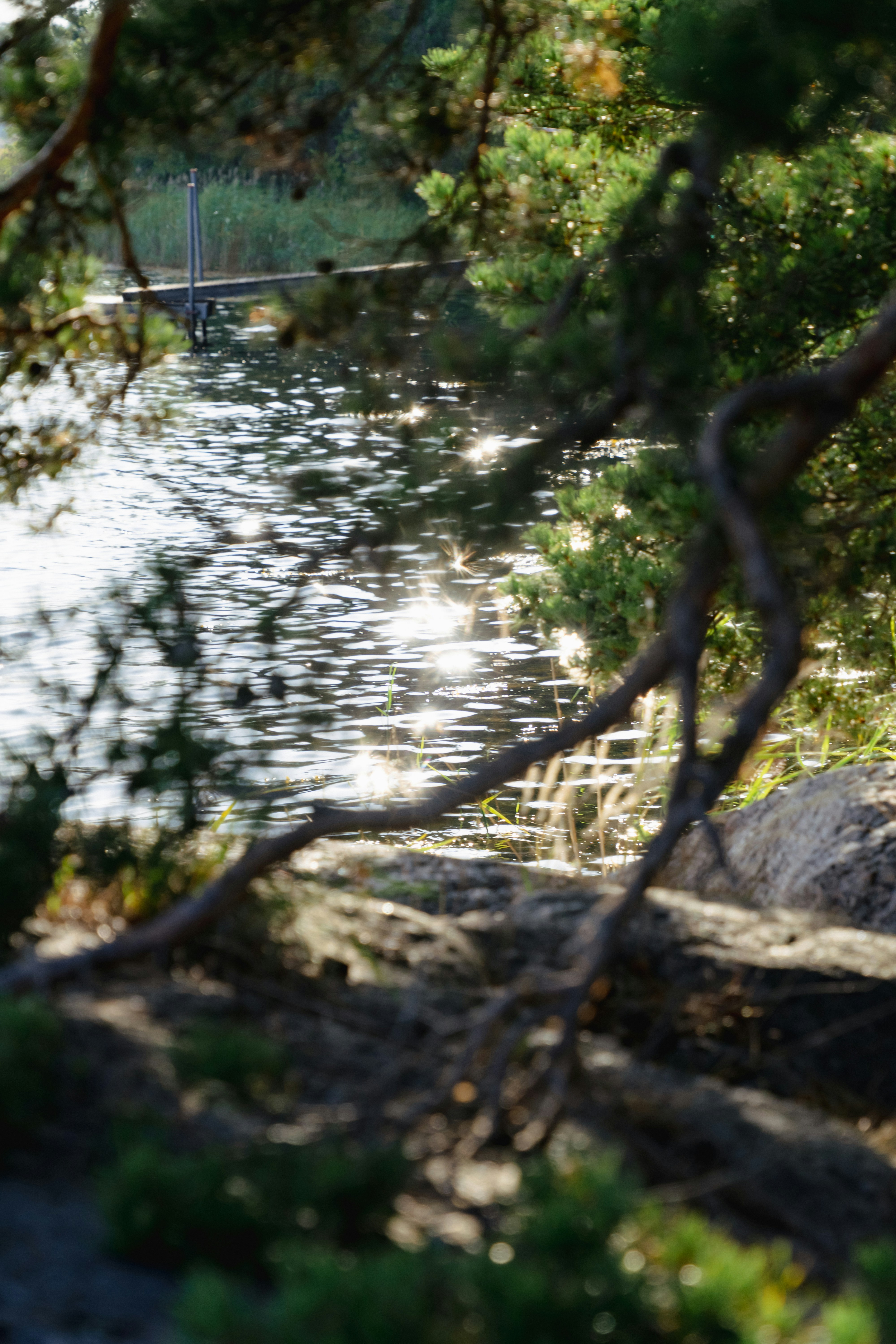 Photo by melina_dominic