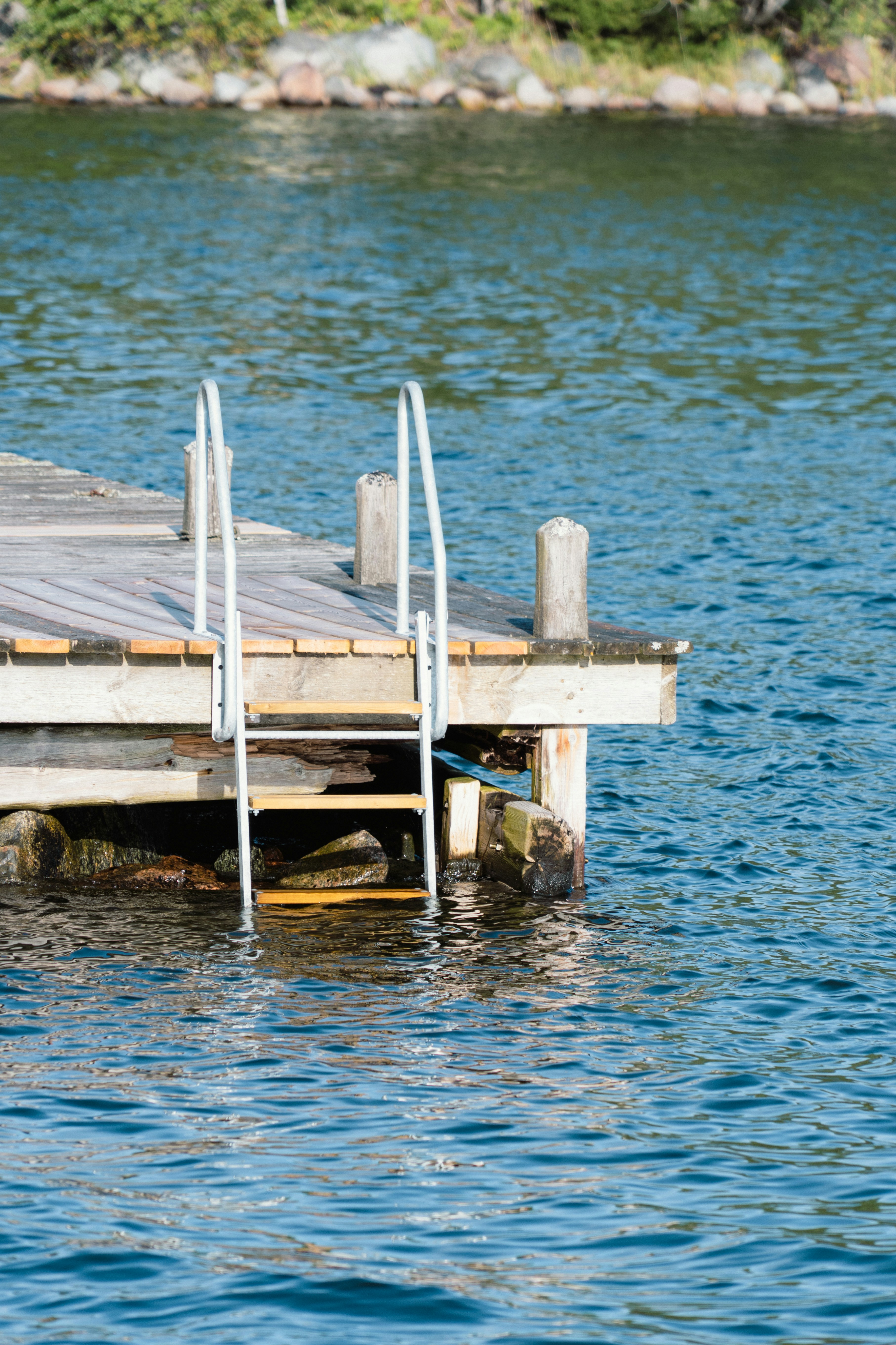 Photo by melina_dominic